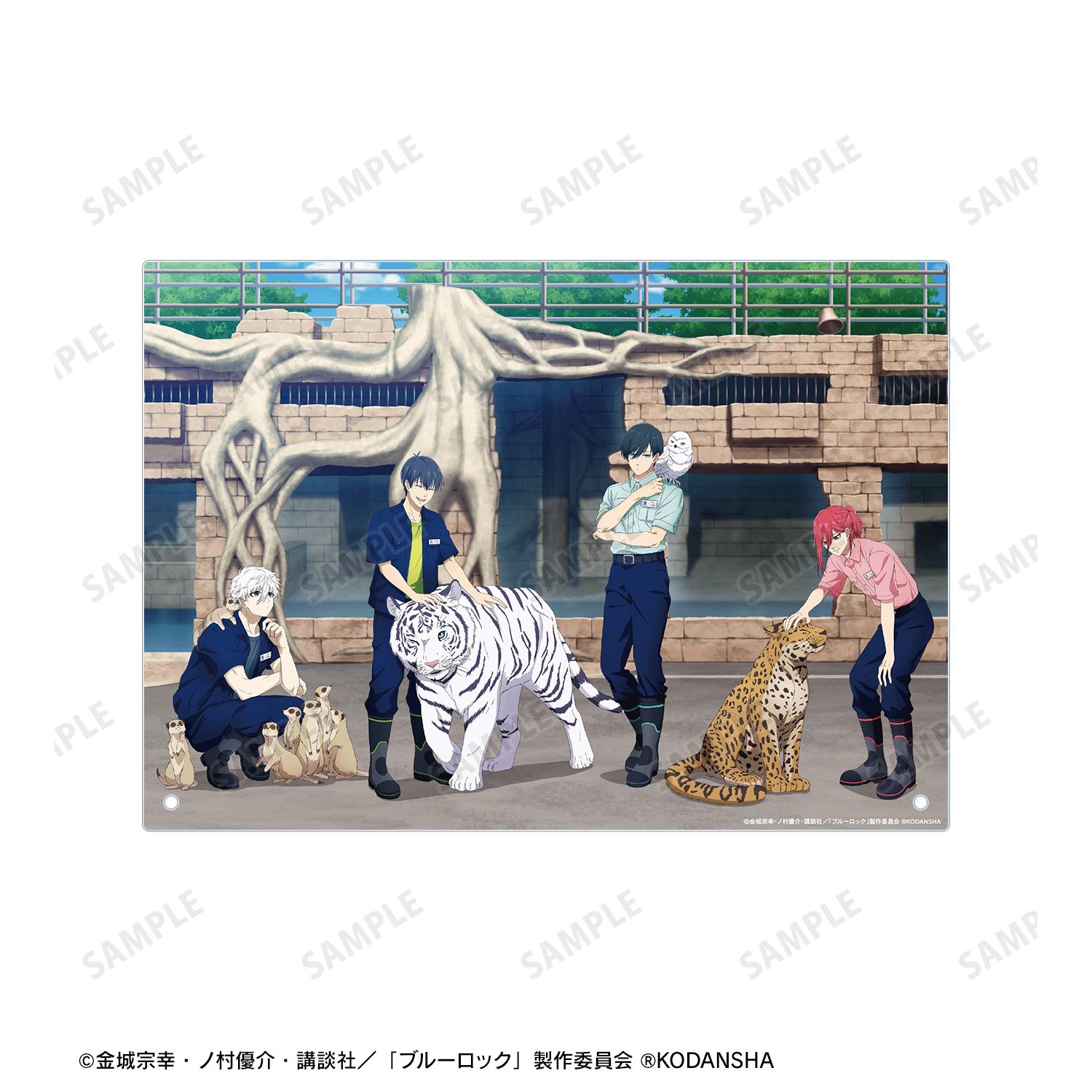 TVアニメ『ブルーロック』 東武動物公園コラボ 描き下ろしイラスト 集合 飼育係ver. A4アクリルパネル Image 4 | AniSmile
