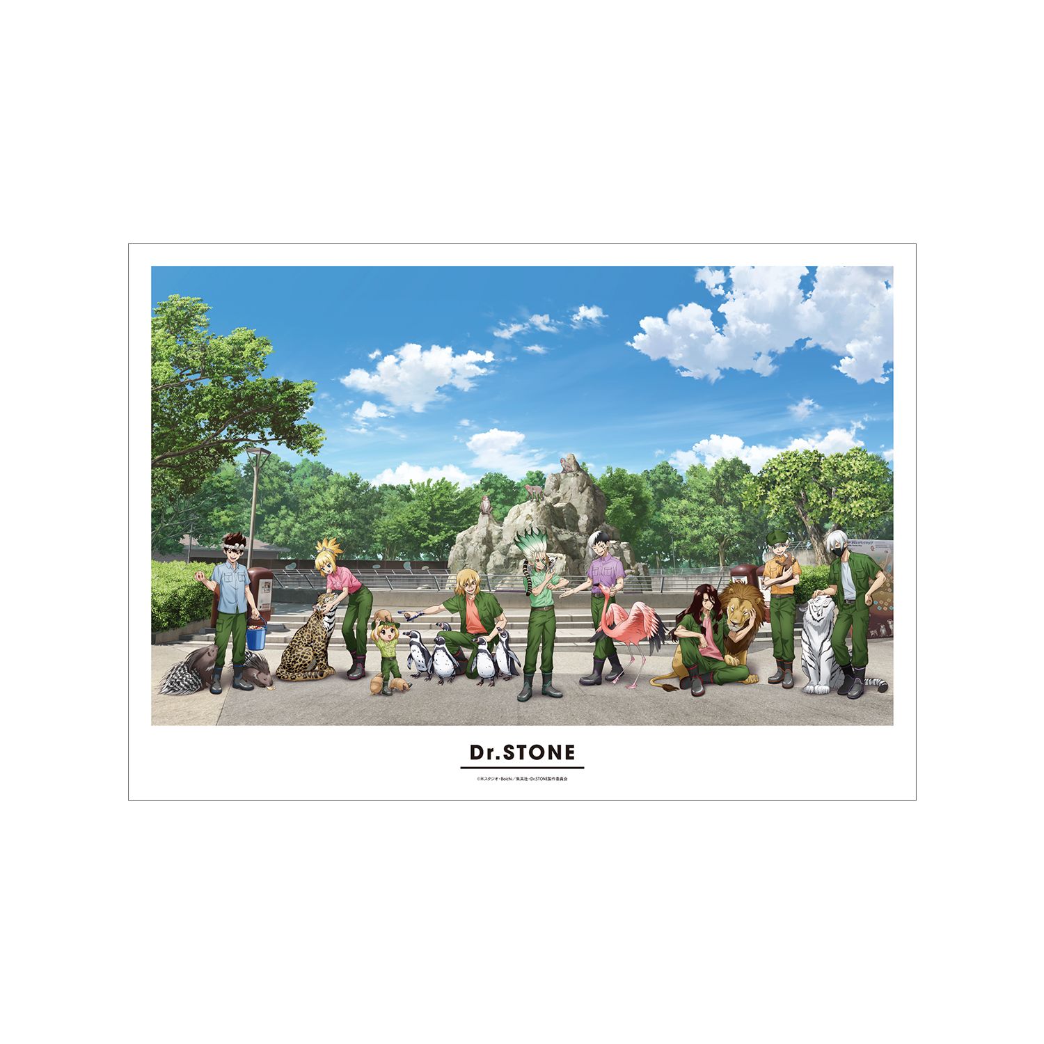 TVアニメ「Dr.STONE」 描き下ろし 集合 飼育係ver. A3マット加工ポスター - official product image | AniSmile