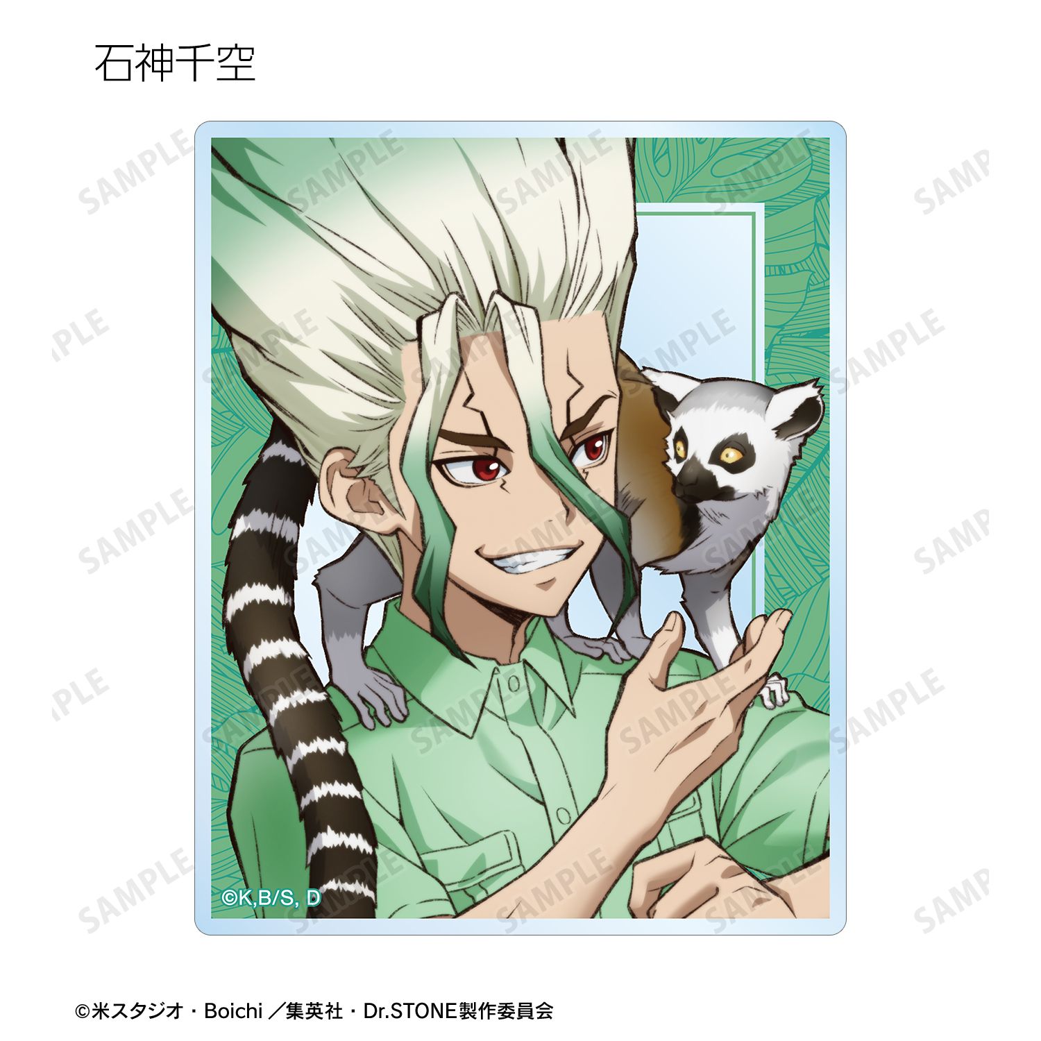 TVアニメ「Dr.STONE」 描き下ろし 飼育係ver. トレーディングアクリルカード(単位/単品) 画像 3 | AniSmile