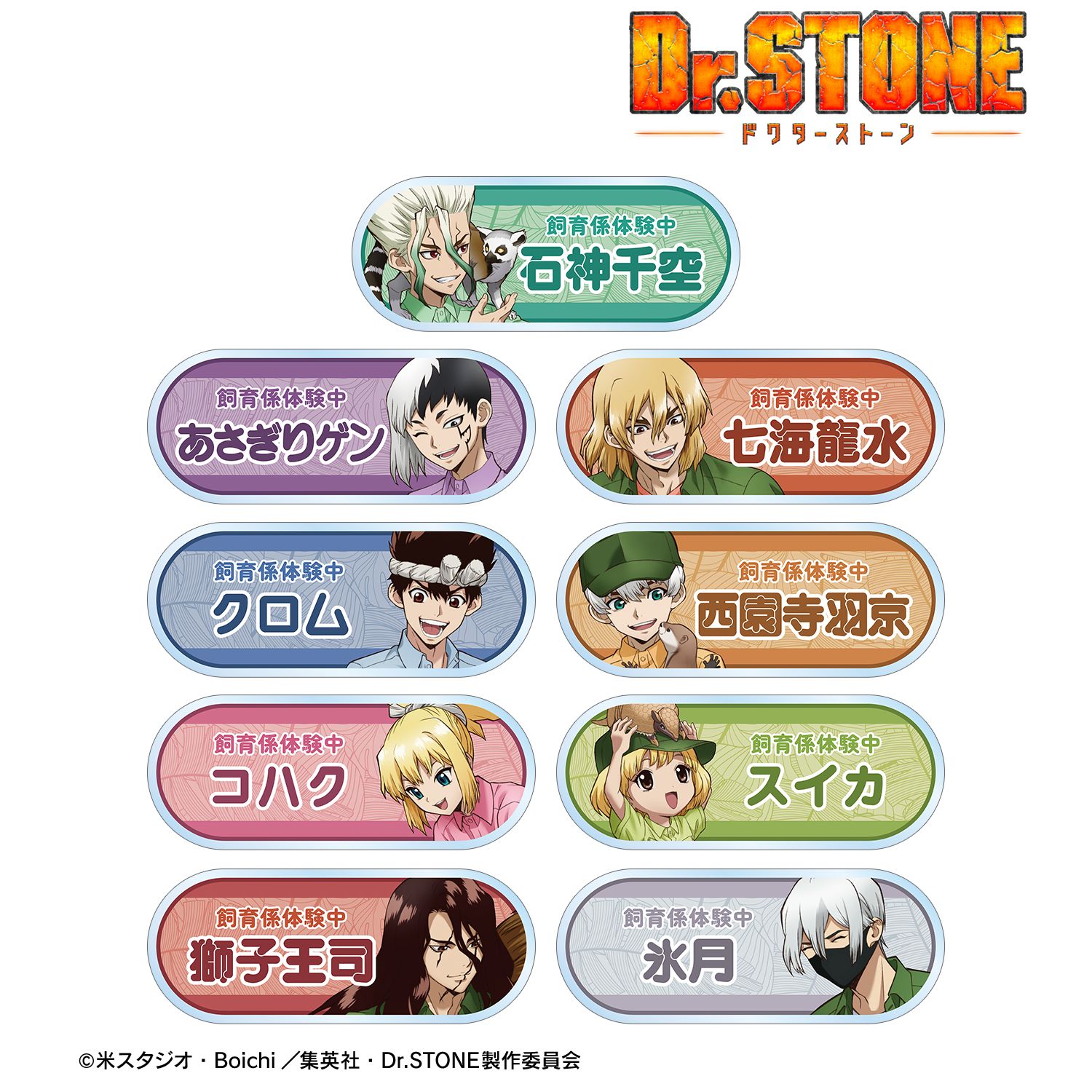 TVアニメ「Dr.STONE」 描き下ろし 飼育係ver. トレーディングアクリルネームプレート(単位/単品) 图片 2 | AniSmile