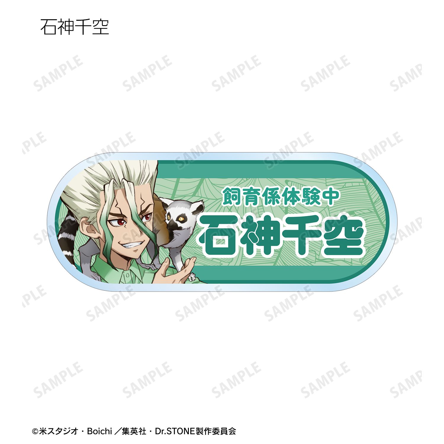 TVアニメ「Dr.STONE」 描き下ろし 飼育係ver. トレーディングアクリルネームプレート(単位/単品) 图片 3 | AniSmile