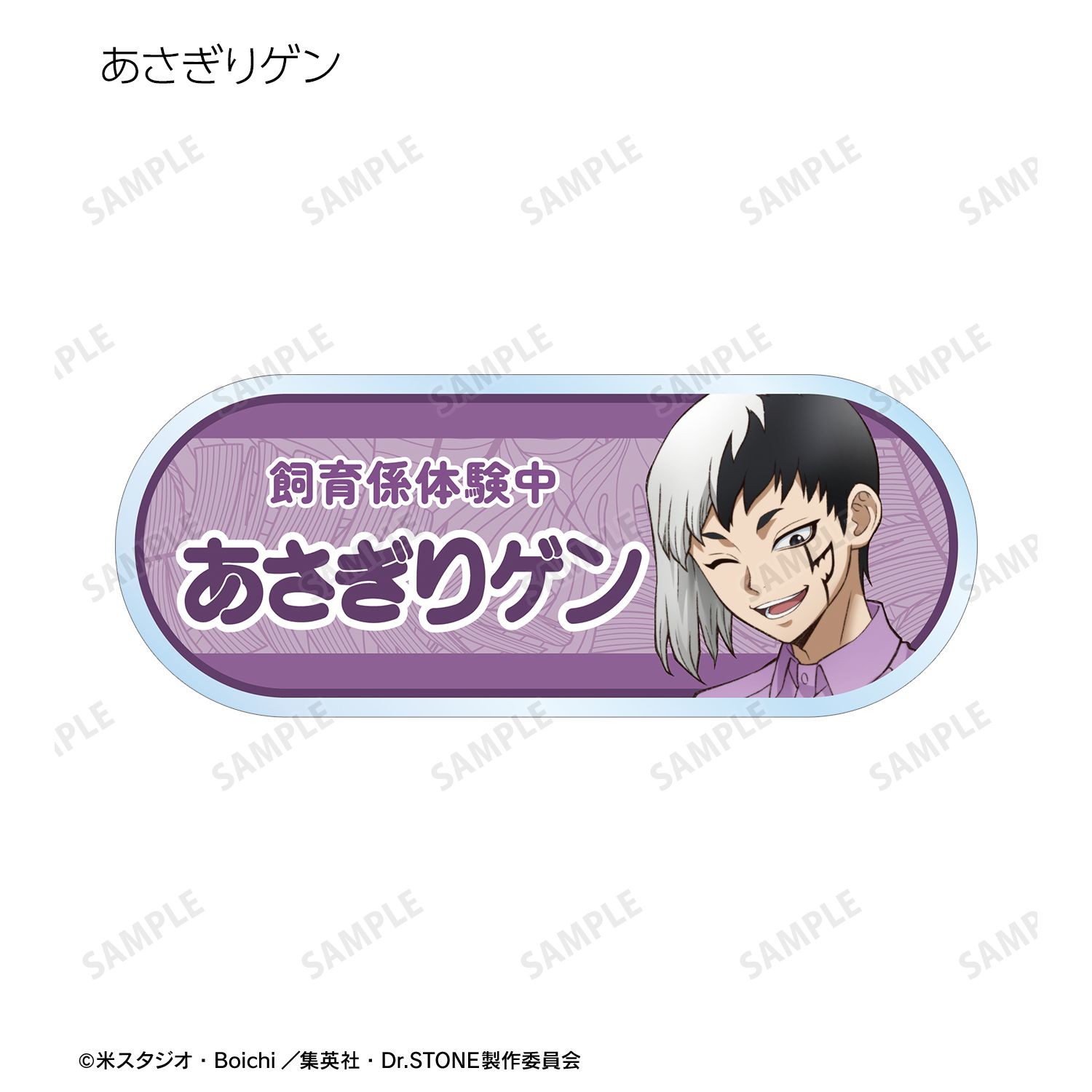 TVアニメ「Dr.STONE」 描き下ろし 飼育係ver. トレーディングアクリルネームプレート(単位/単品) 图片 4 | AniSmile