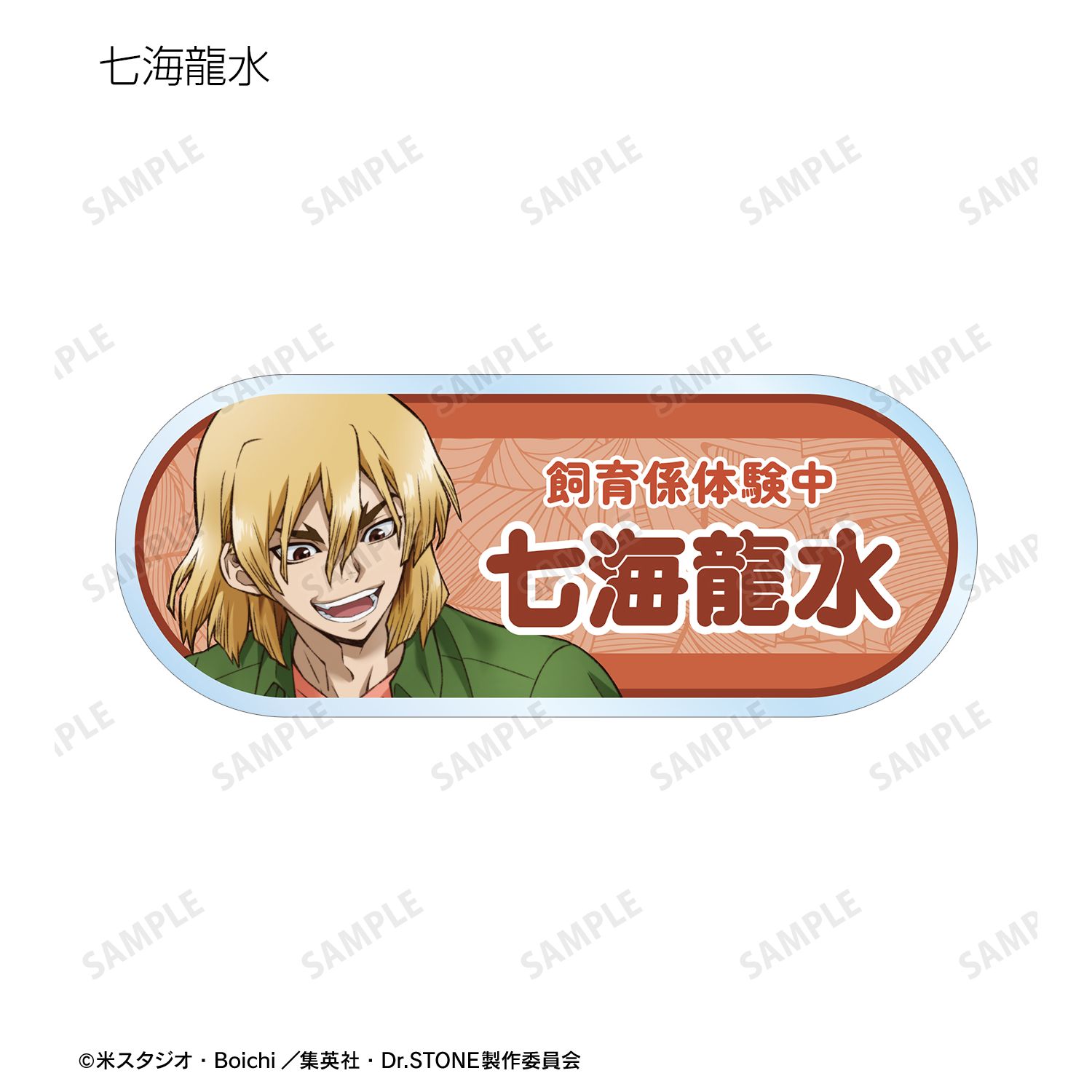 TVアニメ「Dr.STONE」 描き下ろし 飼育係ver. トレーディングアクリルネームプレート(単位/単品) 图片 6 | AniSmile
