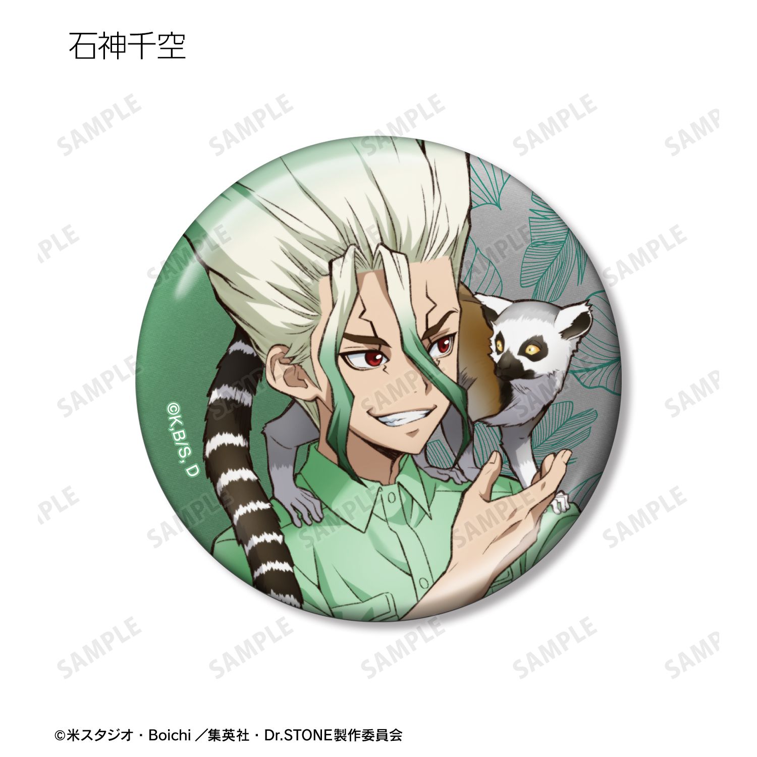 TVアニメ「Dr.STONE」 描き下ろし 飼育係ver. トレーディングメタリック缶バッジ(単位/単品) 图片 2 | AniSmile