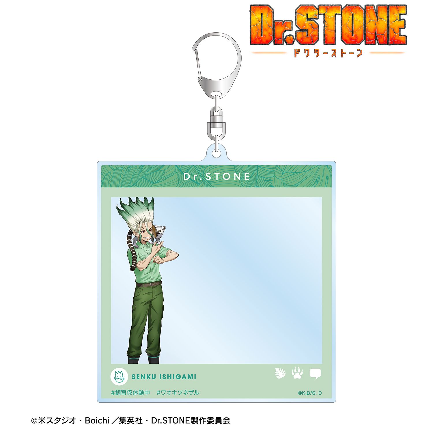 TVアニメ「Dr.STONE」 描き下ろし 石神千空 飼育係ver. SNS風BIGアクリルキーホルダー - official product image | AniSmile