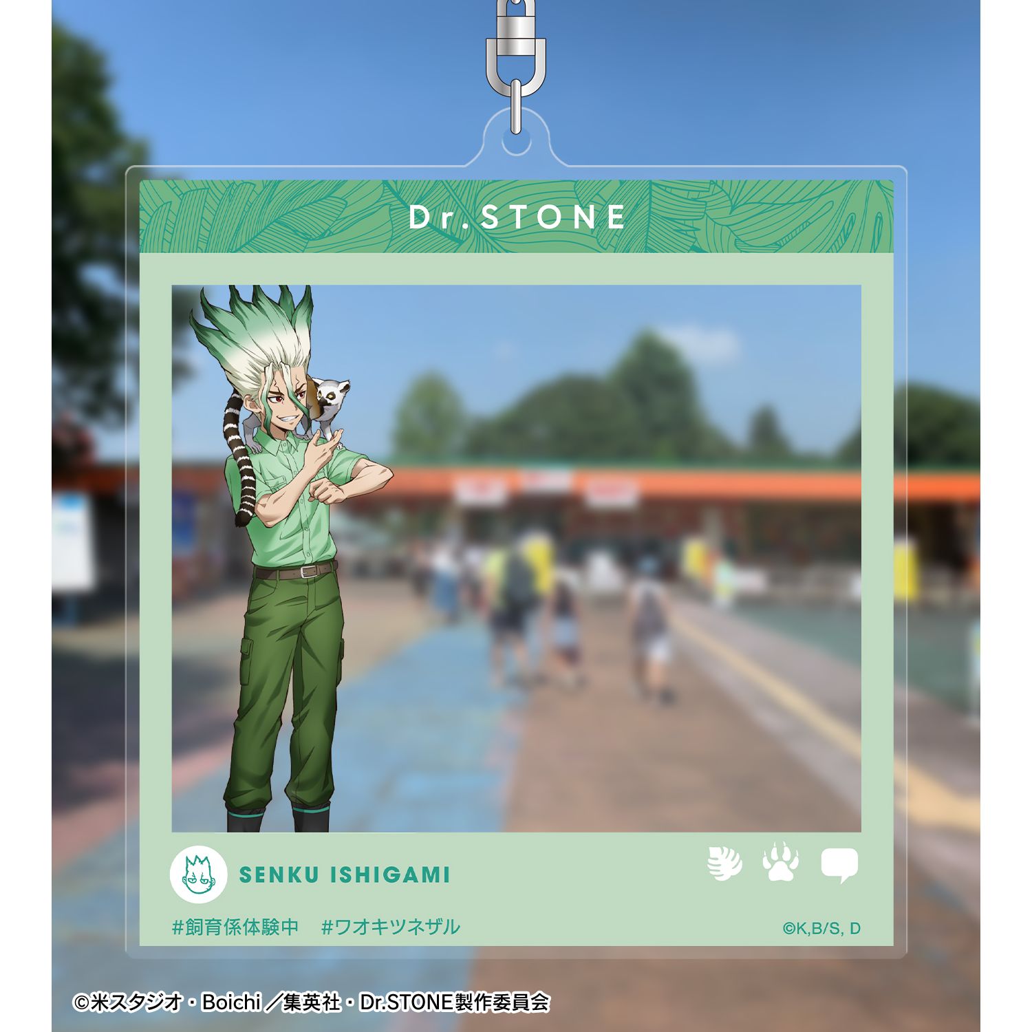 TVアニメ「Dr.STONE」 描き下ろし 石神千空 飼育係ver. SNS風BIGアクリルキーホルダー Image 3 | AniSmile