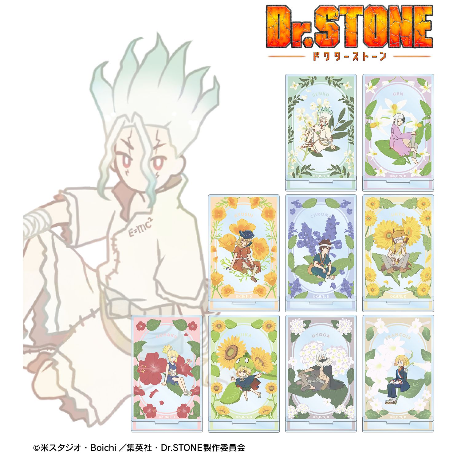 TVアニメ「Dr.STONE」 トレーディング Botania アクリルスタンド(単位/単品) 图片 3 | AniSmile