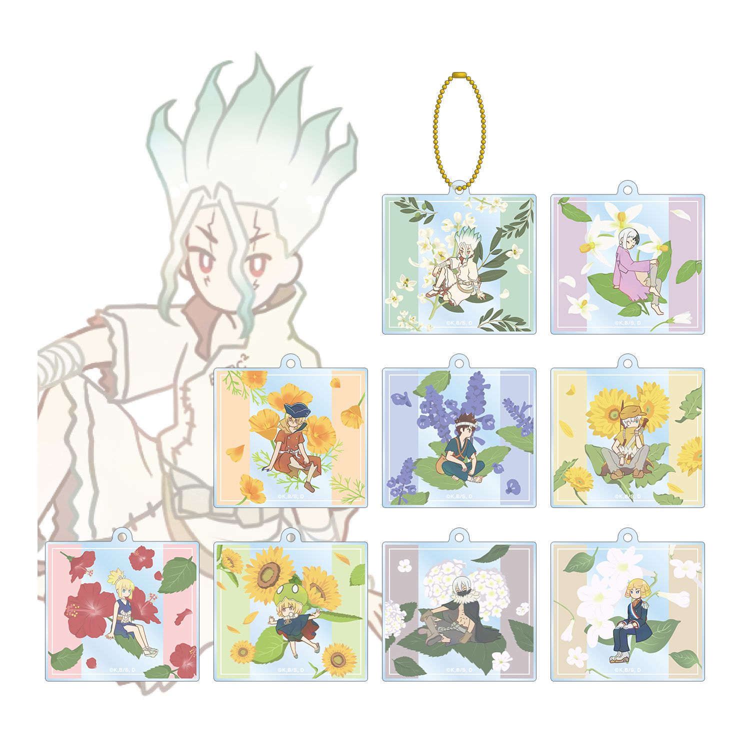 TVアニメ「Dr.STONE」 トレーディング Botania アクリルキーホルダー(単位/単品) - official product image | AniSmile