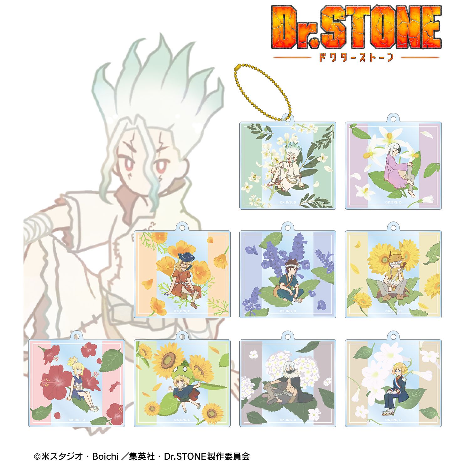 TVアニメ「Dr.STONE」 トレーディング Botania アクリルキーホルダー(単位/単品) Image 4 | AniSmile