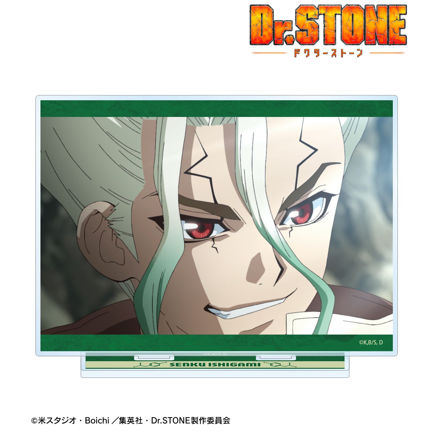 TVアニメ「Dr.STONE」 石神千空 場面写BIGアクリルスタンド 画像 2 | AniSmile