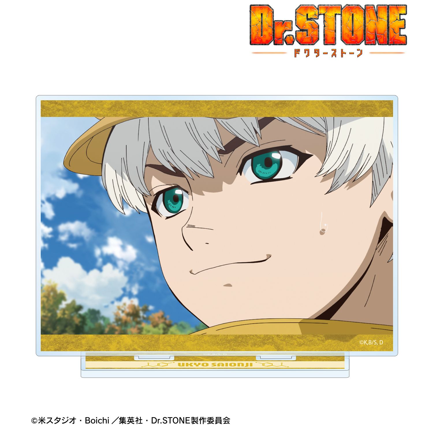 TVアニメ「Dr.STONE」 西園寺羽京 場面写BIGアクリルスタンド 画像 2 | AniSmile
