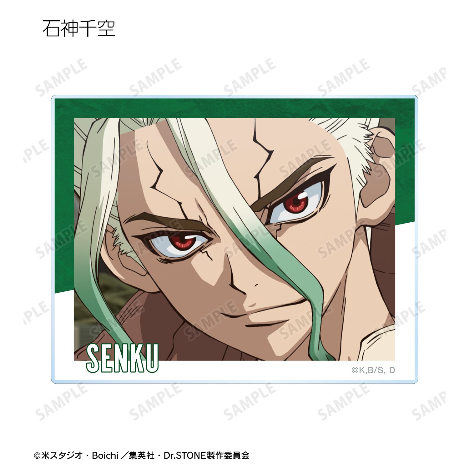 TVアニメ「Dr.STONE」 トレーディング場面写アクリルカード vol.2(単位/単品) 图片 3 | AniSmile