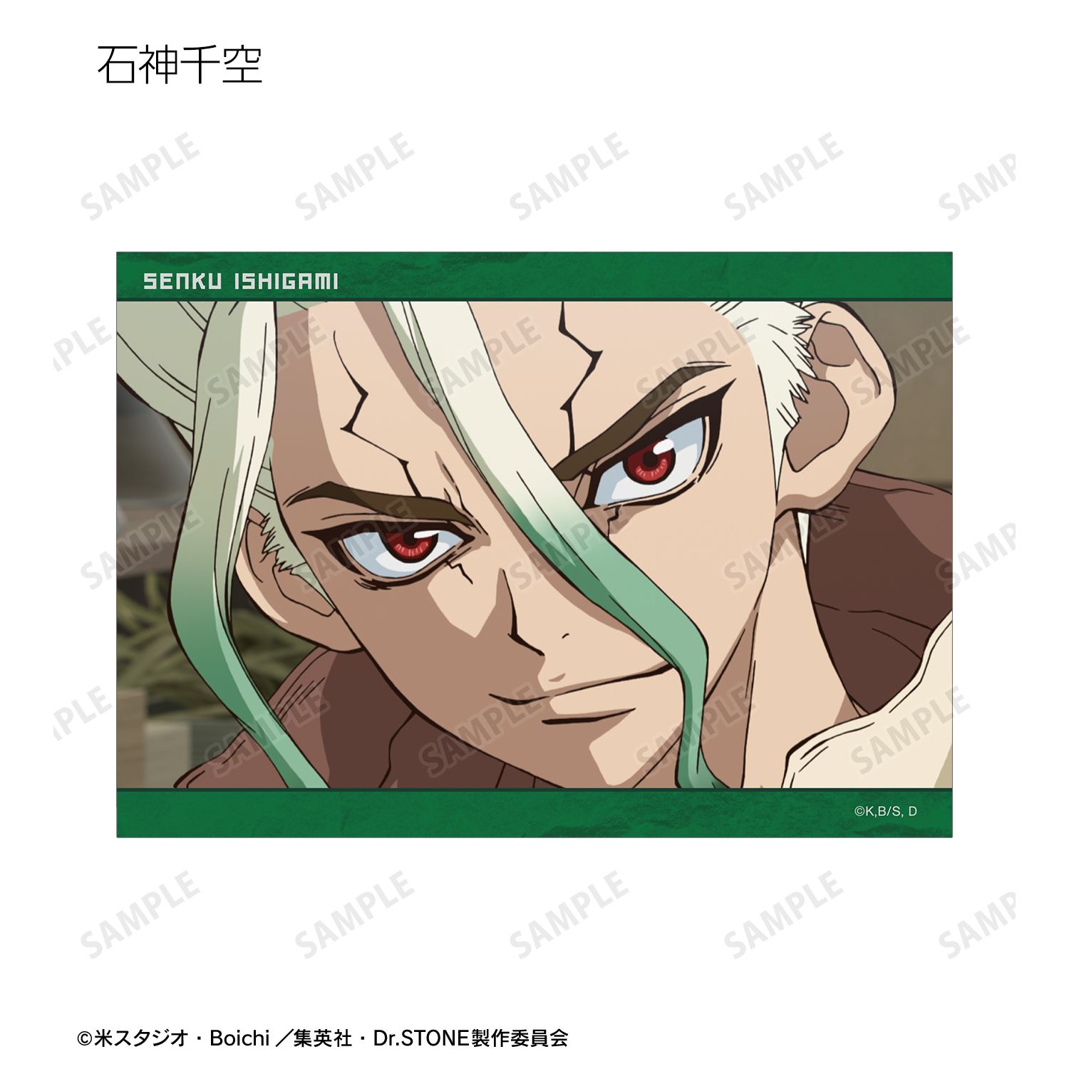 TVアニメ「Dr.STONE」 トレーディング場面写ブロマイド(単位/単品) Image 3 | AniSmile