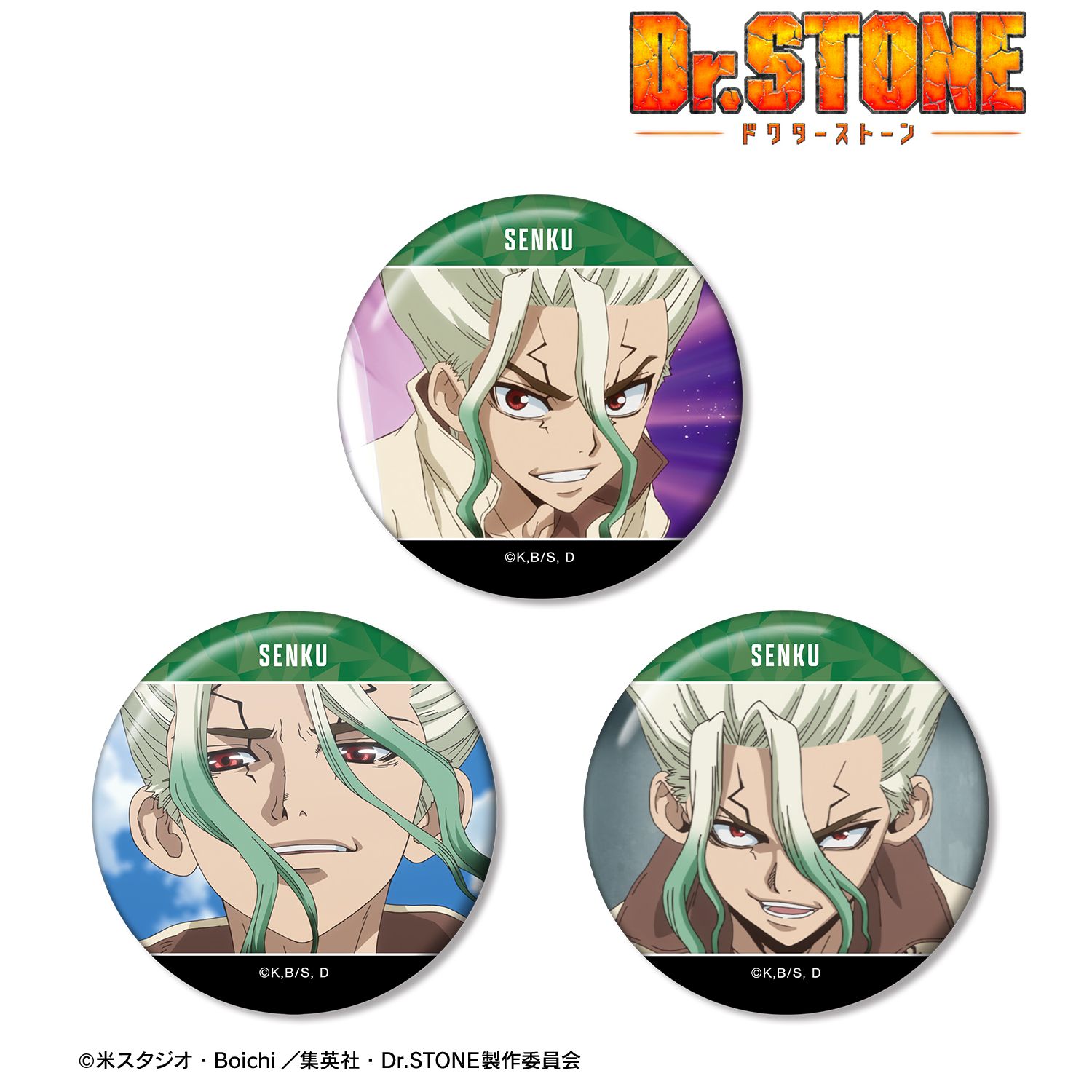 TVアニメ「Dr.STONE」 石神千空 場面写缶バッジ3個セット 画像 2 | AniSmile