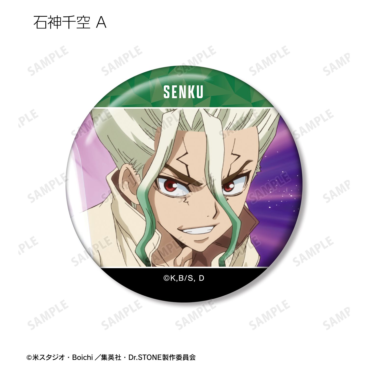 TVアニメ「Dr.STONE」 石神千空 場面写缶バッジ3個セット 画像 3 | AniSmile