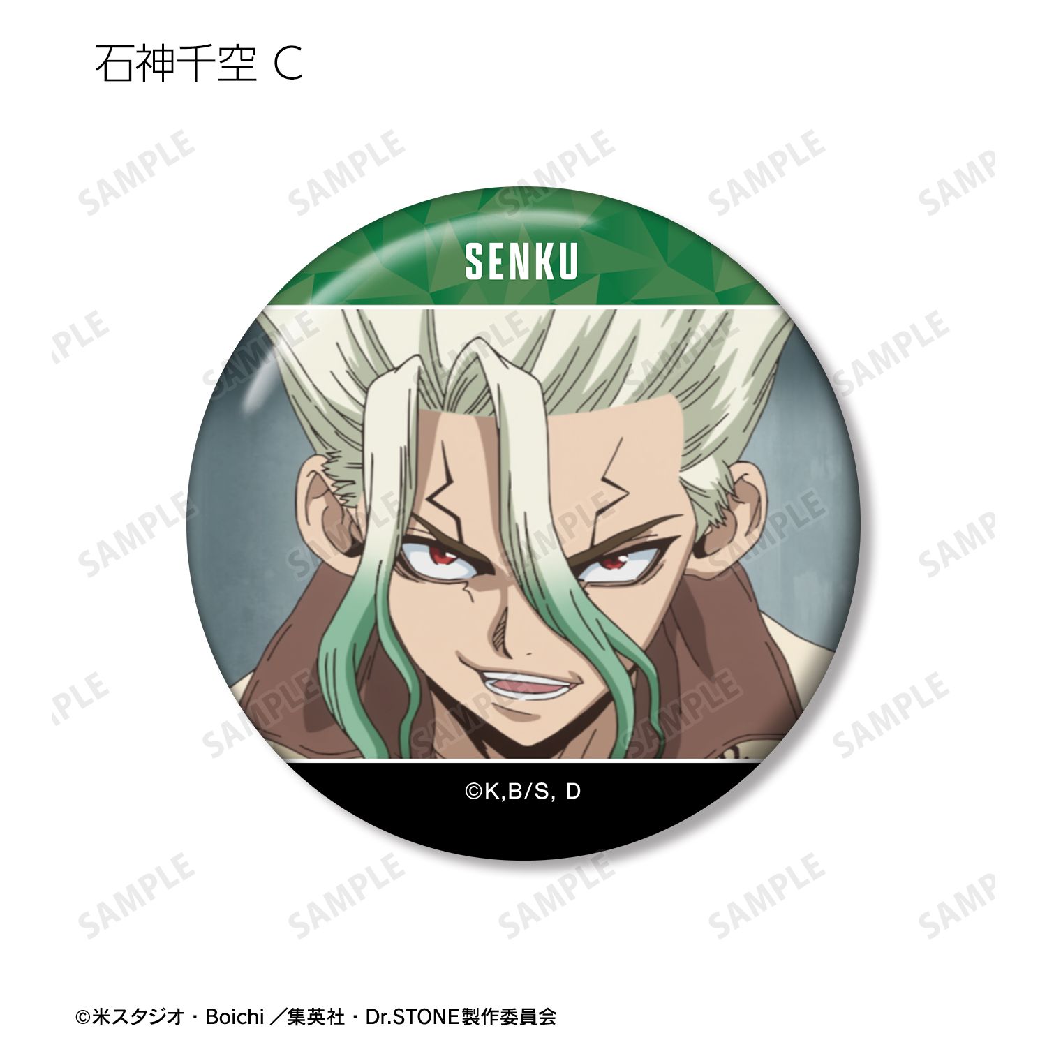 TVアニメ「Dr.STONE」 石神千空 場面写缶バッジ3個セット 画像 5 | AniSmile