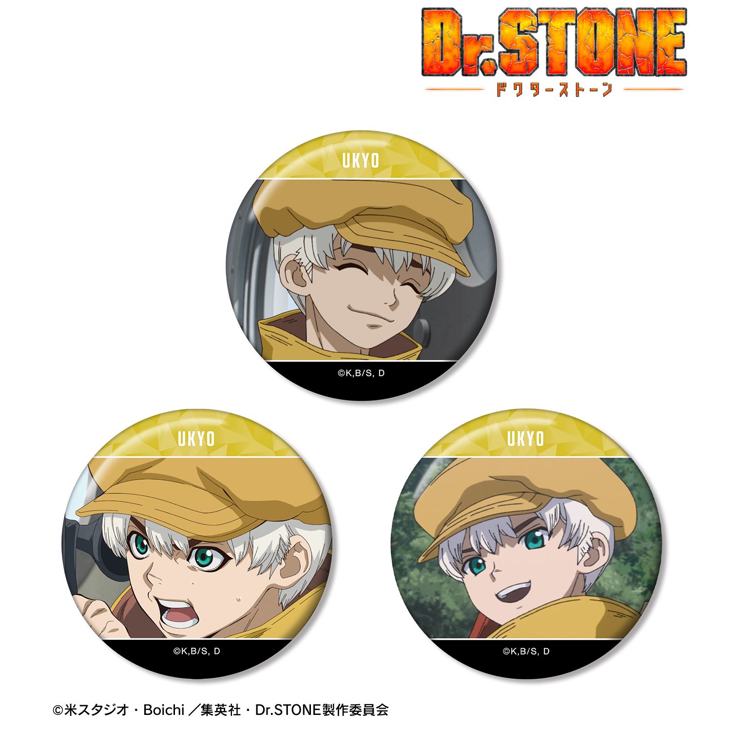 TVアニメ「Dr.STONE」 西園寺羽京 場面写缶バッジ3個セット 画像 2 | AniSmile