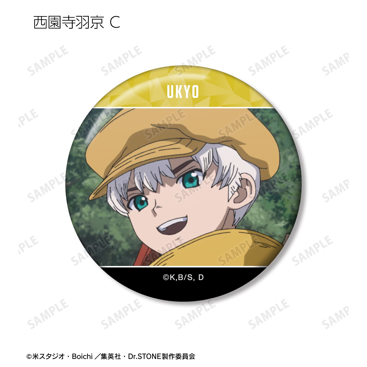 TVアニメ「Dr.STONE」 西園寺羽京 場面写缶バッジ3個セット 画像 4 | AniSmile