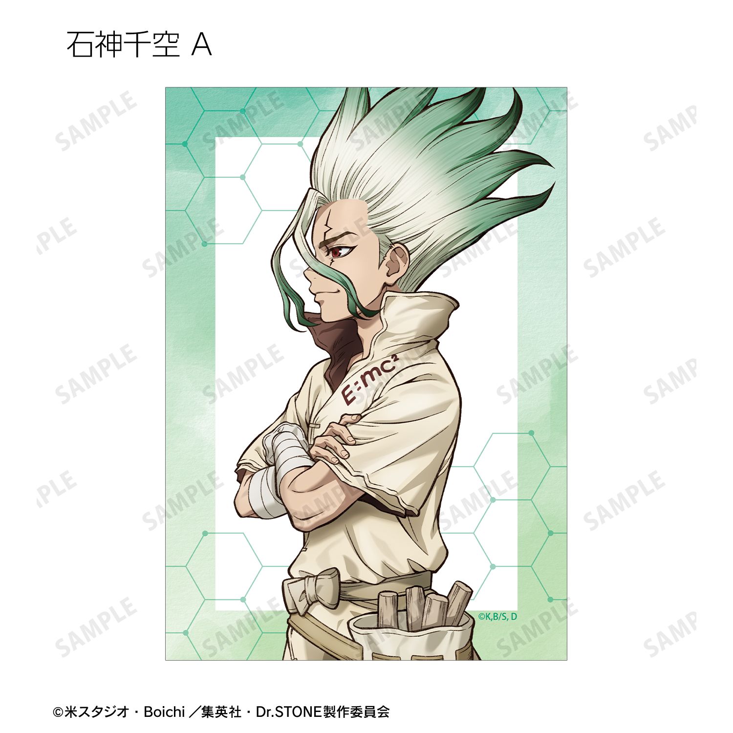 TVアニメ「Dr.STONE」 描き下ろし 歩みver. トレーディングブロマイド(単位/単品) 画像 3 | AniSmile