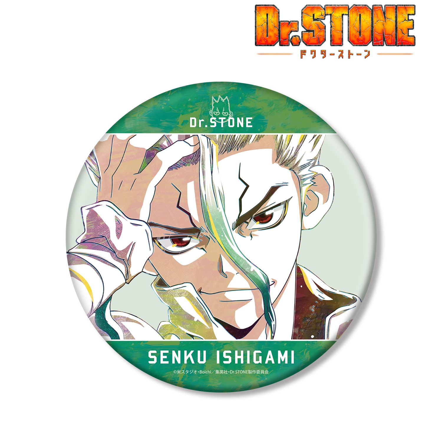 TVアニメ「Dr.STONE」 石神千空 Ani-Art BIG缶バッジ 画像 2 | AniSmile