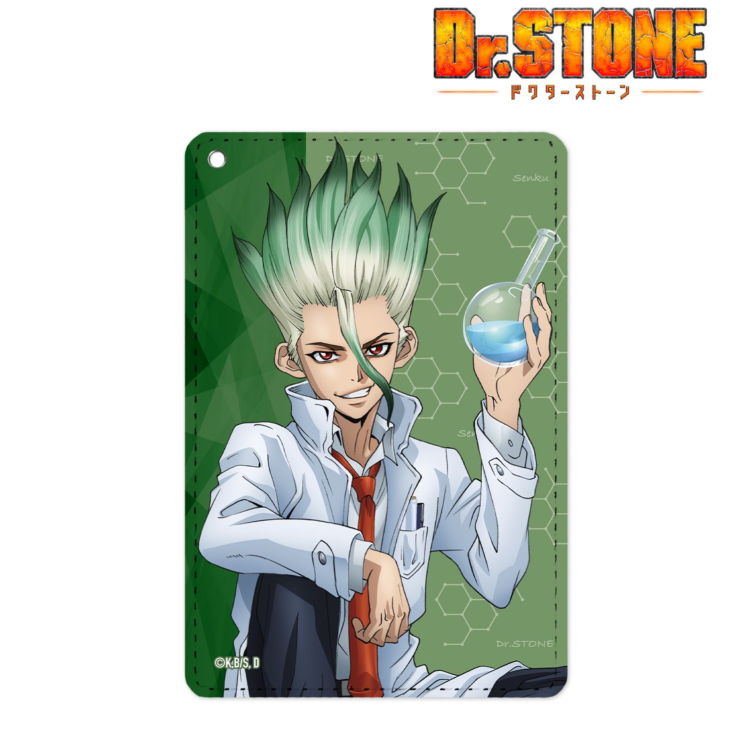 TVアニメ「Dr.STONE」 描き下ろしイラスト 石神千空 石化前ver. 1ポケットパスケース Image 2 | AniSmile