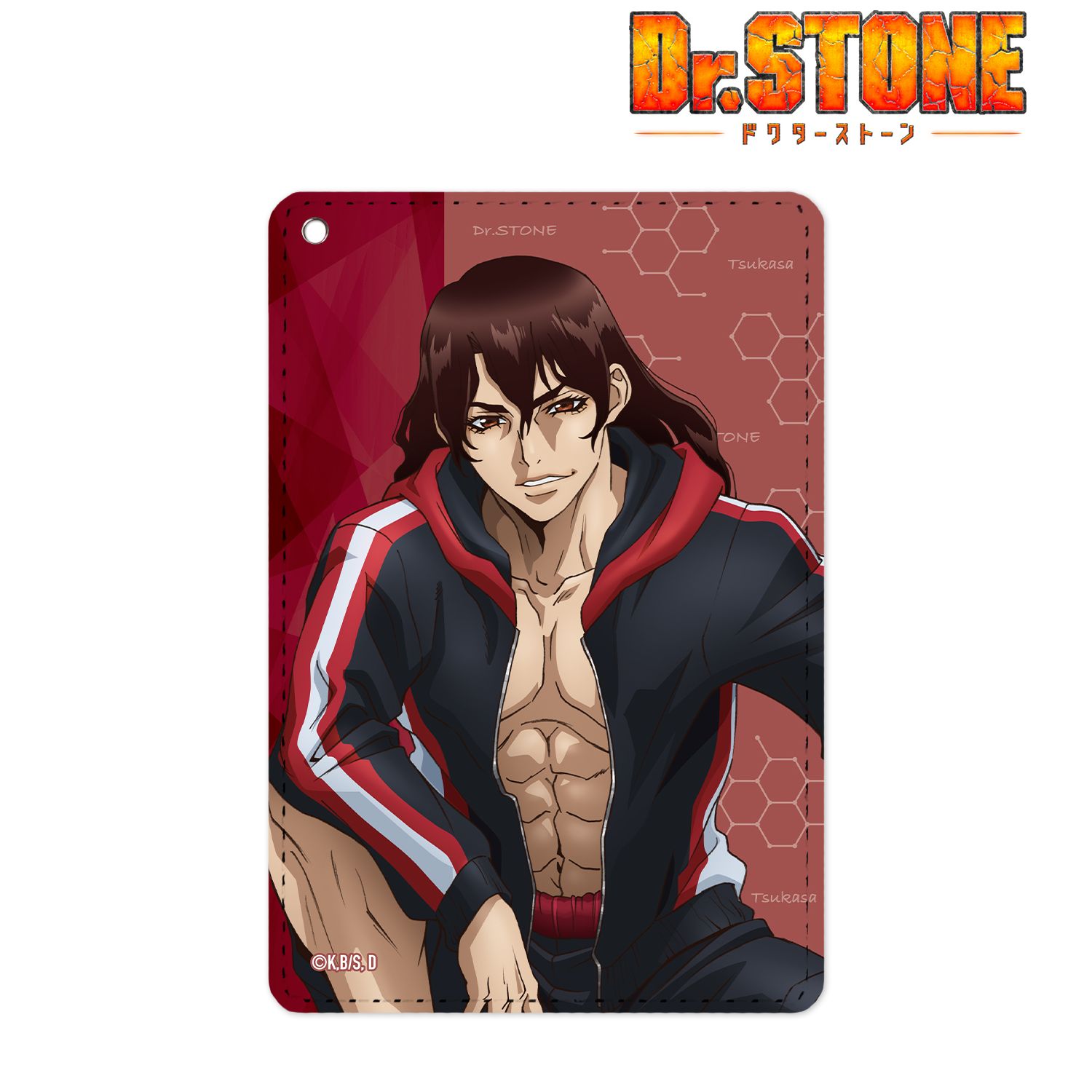 TVアニメ「Dr.STONE」 描き下ろしイラスト 獅子王司 石化前ver. 1ポケットパスケース 画像 2 | AniSmile