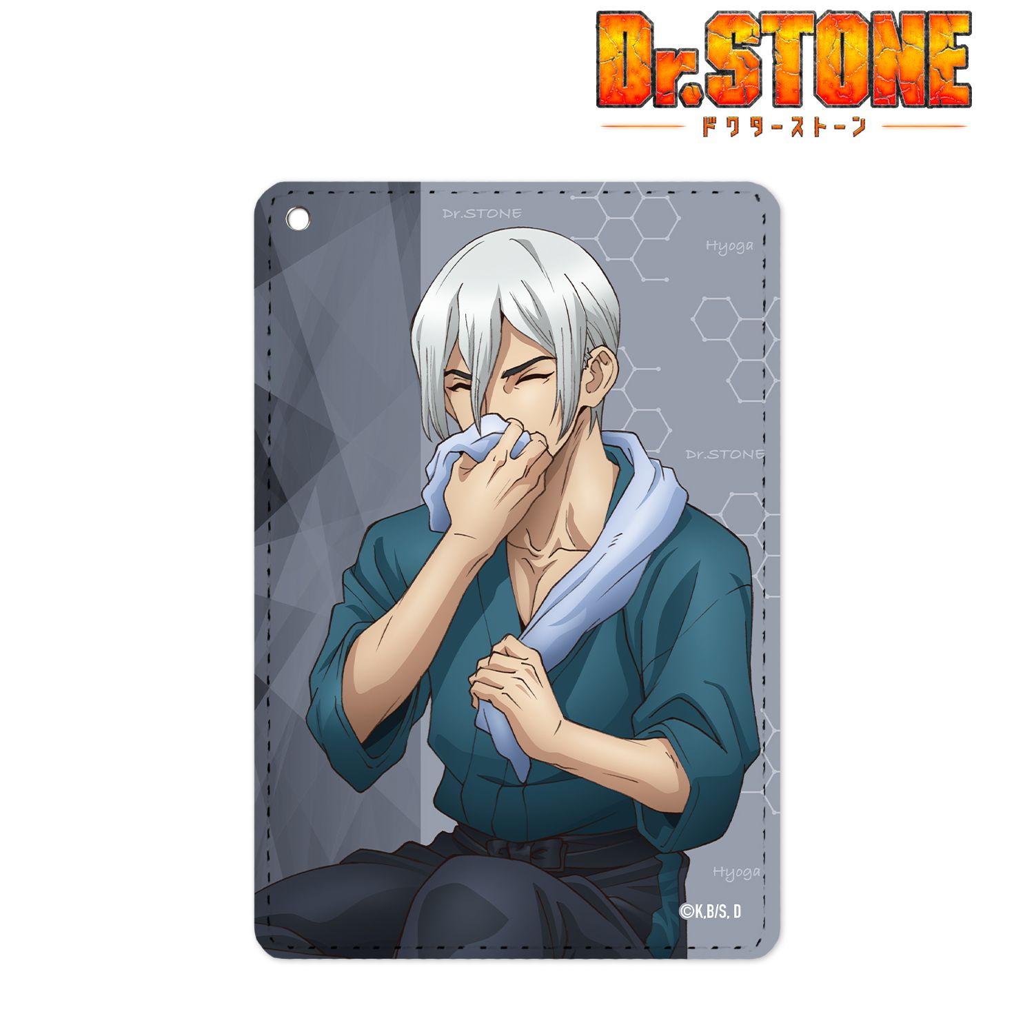 TVアニメ「Dr.STONE」 描き下ろしイラスト 氷月 石化前ver. 1ポケットパスケース Image 2 | AniSmile