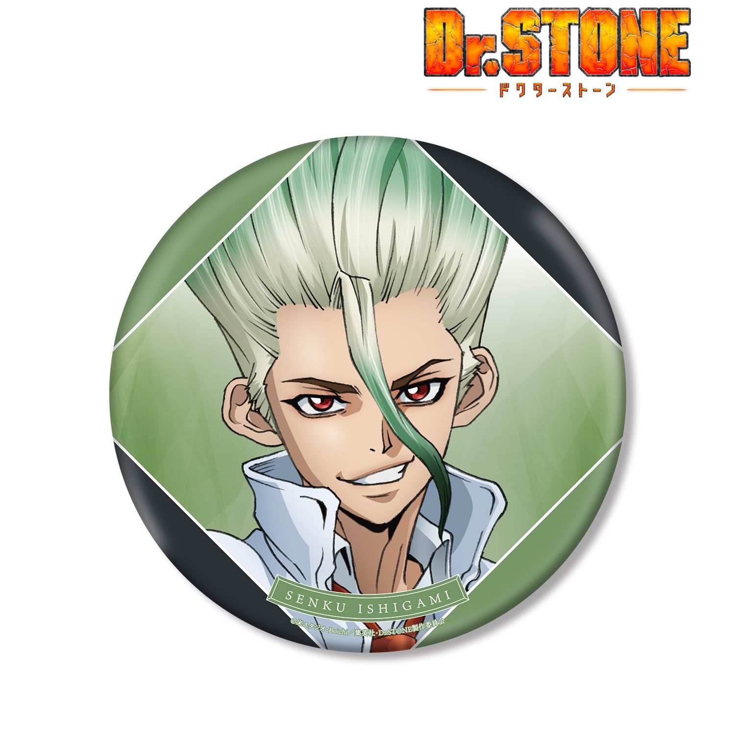 TVアニメ「Dr.STONE」 描き下ろしイラスト 石神千空 石化前ver. BIG缶バッジ 画像 2 | AniSmile
