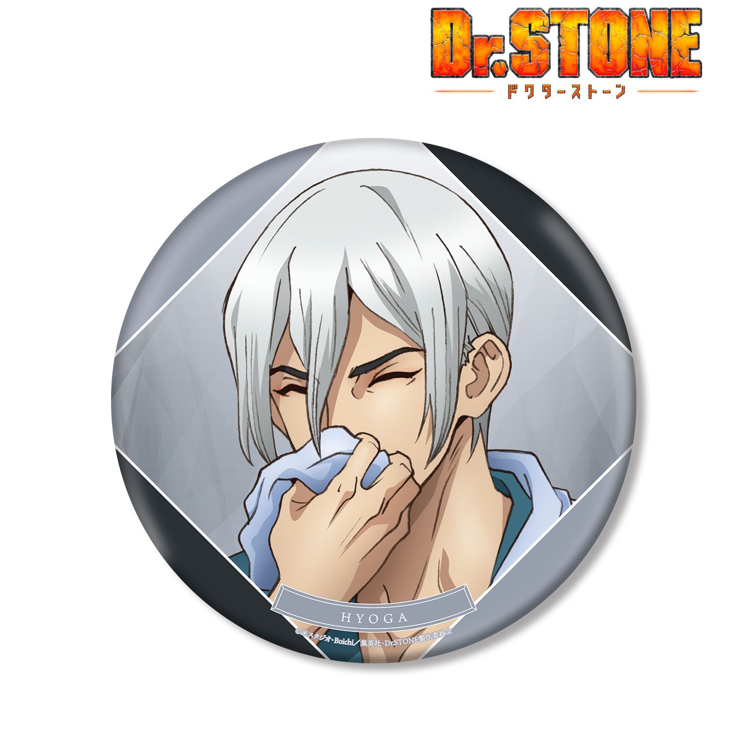 TVアニメ「Dr.STONE」 描き下ろしイラスト 氷月 石化前ver. BIG缶バッジ 画像 2 | AniSmile