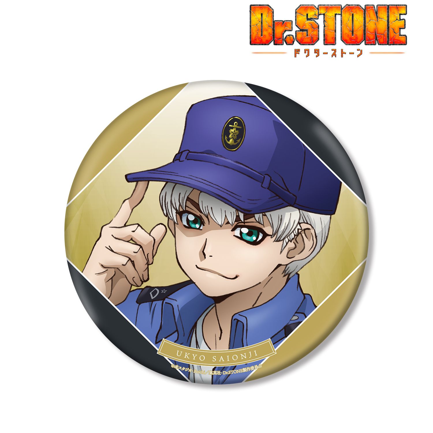 TVアニメ「Dr.STONE」 描き下ろしイラスト 西園寺羽京 石化前ver. BIG缶バッジ 画像 2 | AniSmile