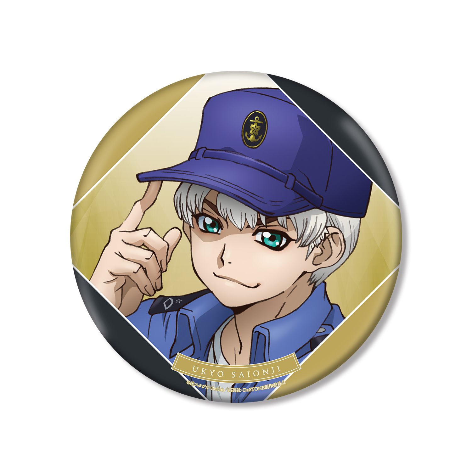 TVアニメ「Dr.STONE」 描き下ろしイラスト 西園寺羽京 石化前ver. BIG缶バッジ - AniSmile