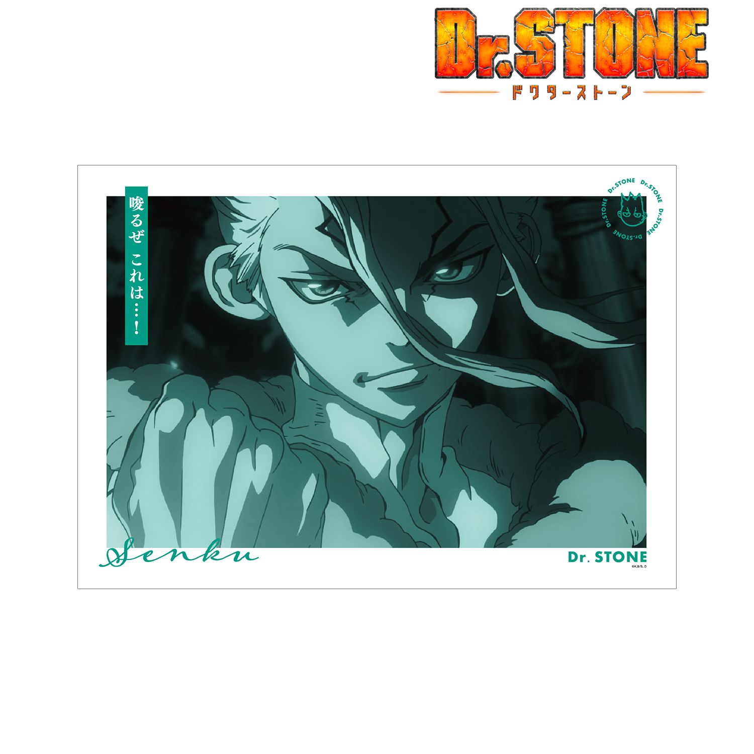 TVアニメ「Dr.STONE」 石神千空 A3マット加工ポスター Image 2 | AniSmile