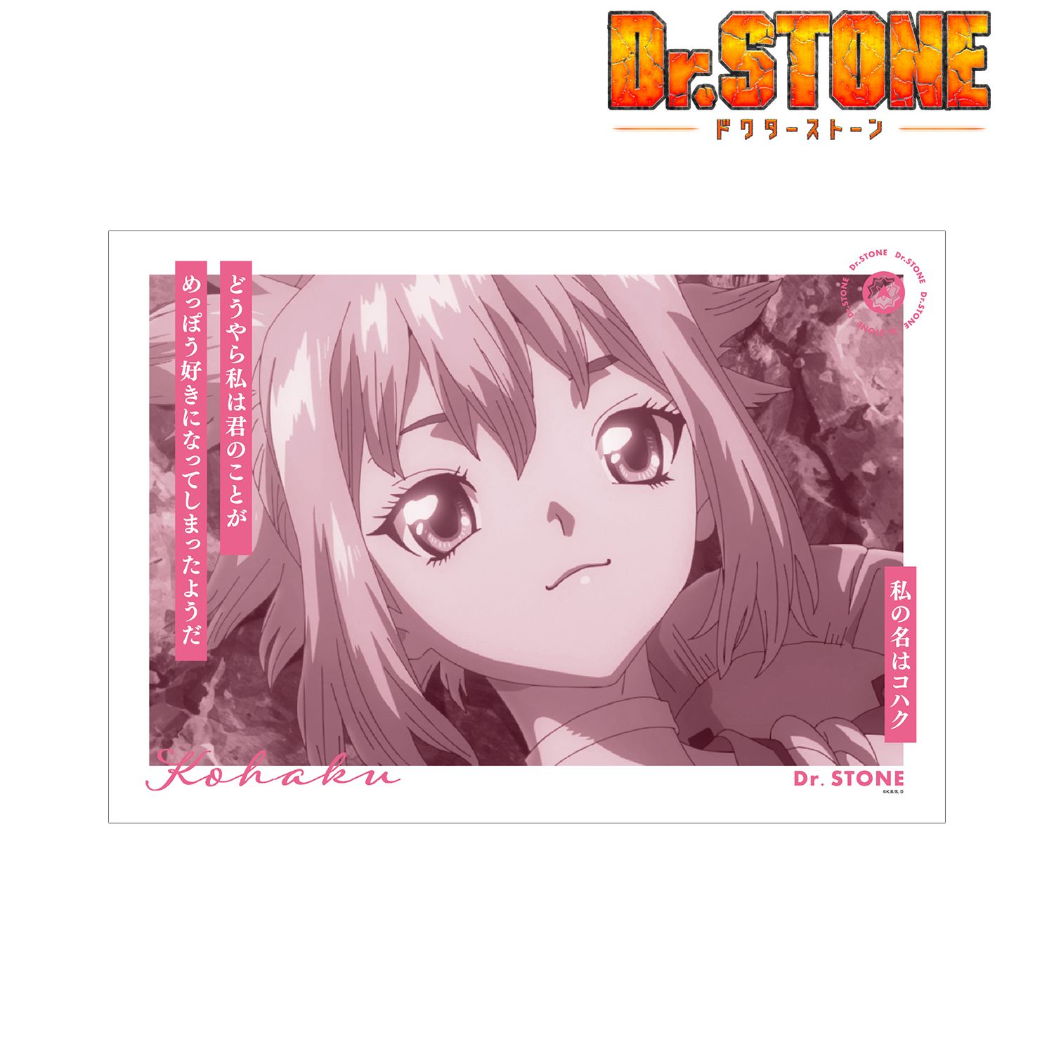 TVアニメ「Dr.STONE」 コハク A3マット加工ポスター 画像 2 | AniSmile