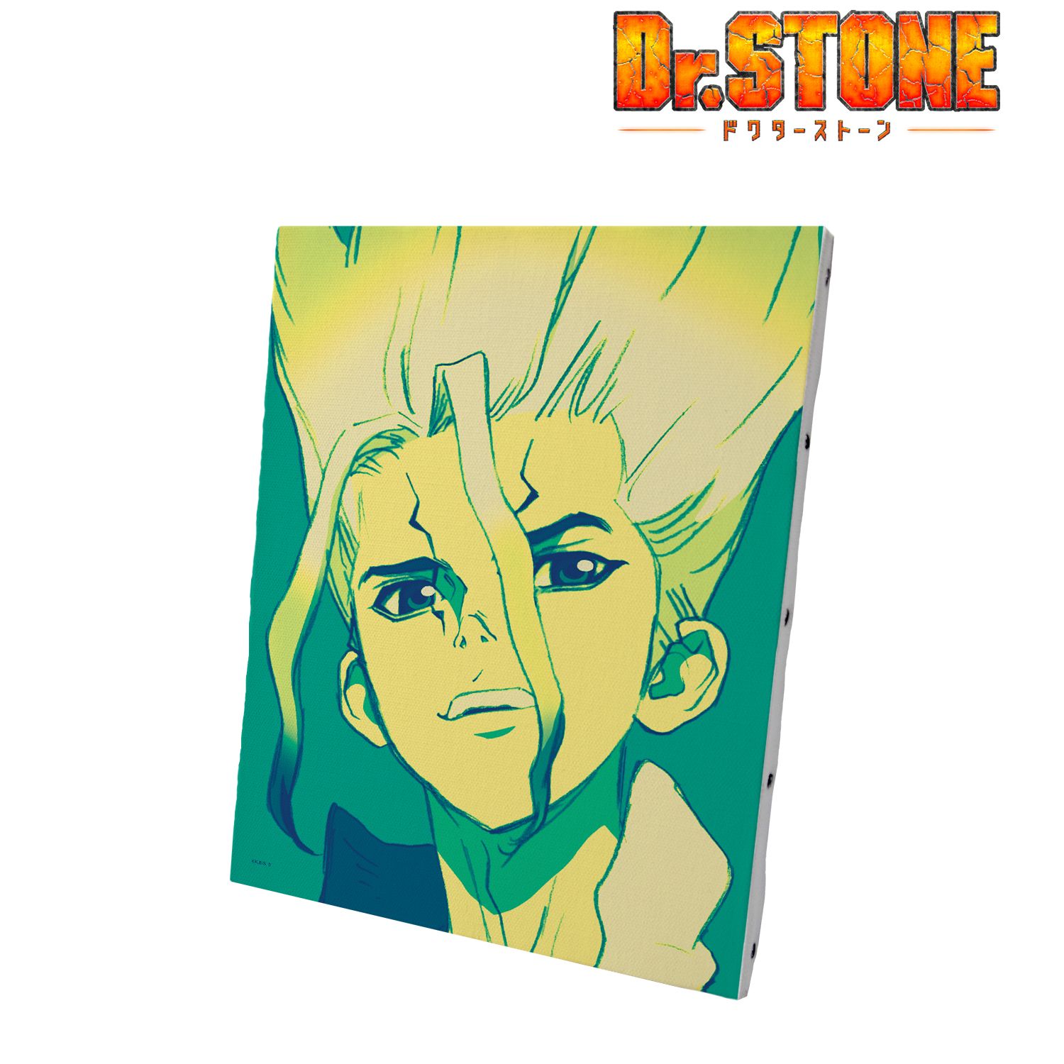 TVアニメ「Dr.STONE」 石神千空 paleful キャンバスボード Image 3 | AniSmile