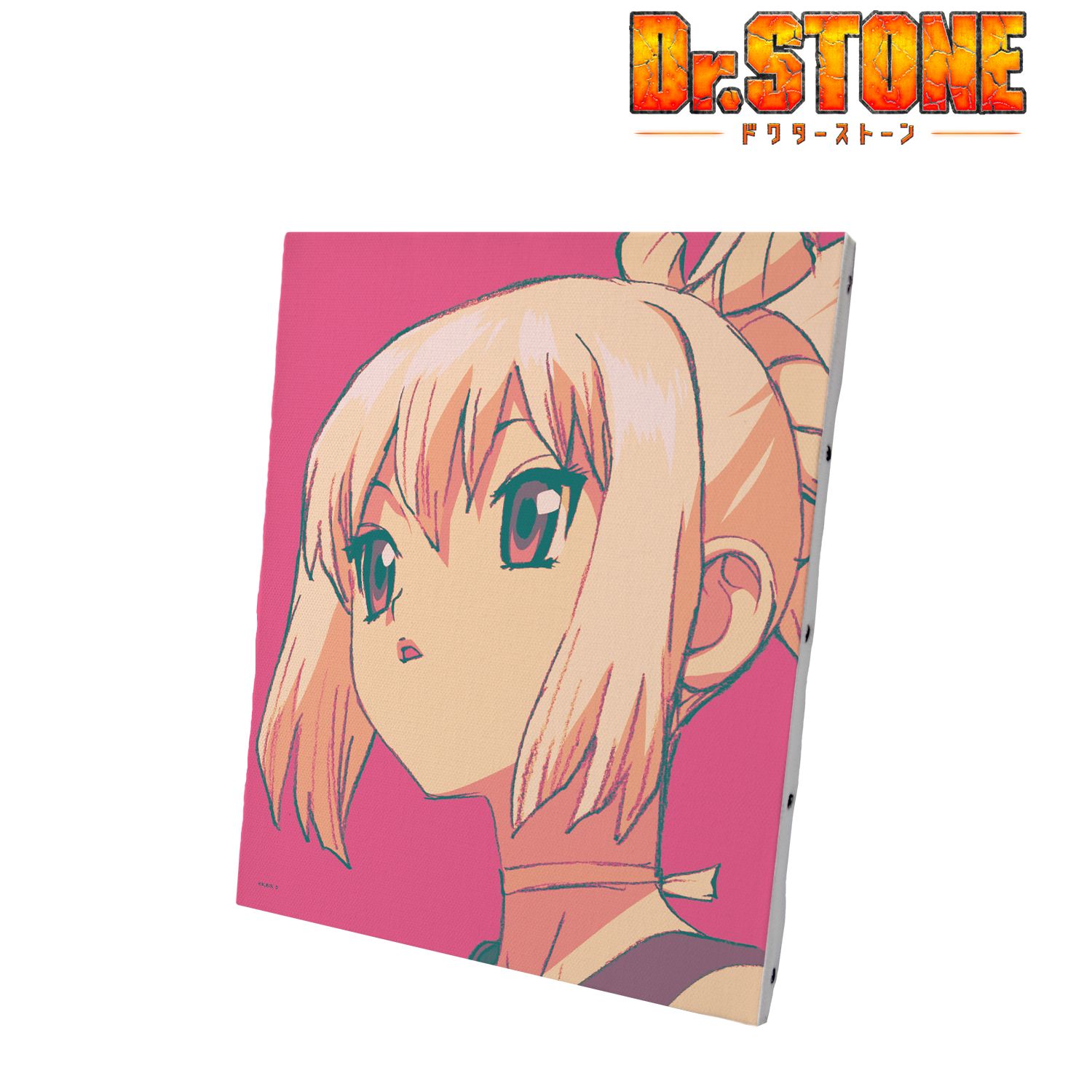 TVアニメ「Dr.STONE」 コハク paleful キャンバスボード 画像 3 | AniSmile