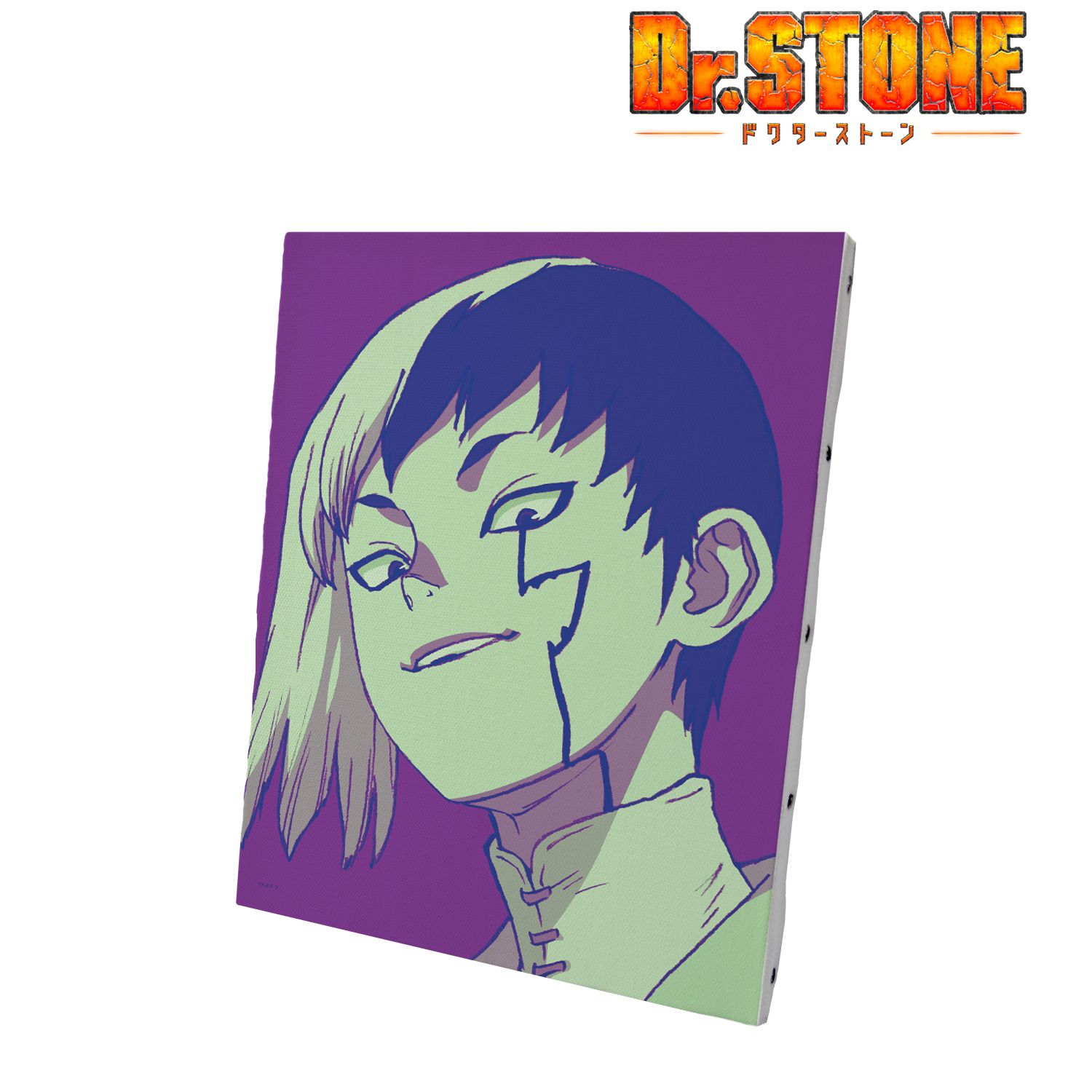 TVアニメ「Dr.STONE」 あさぎりゲン paleful キャンバスボード 图片 2 | AniSmile