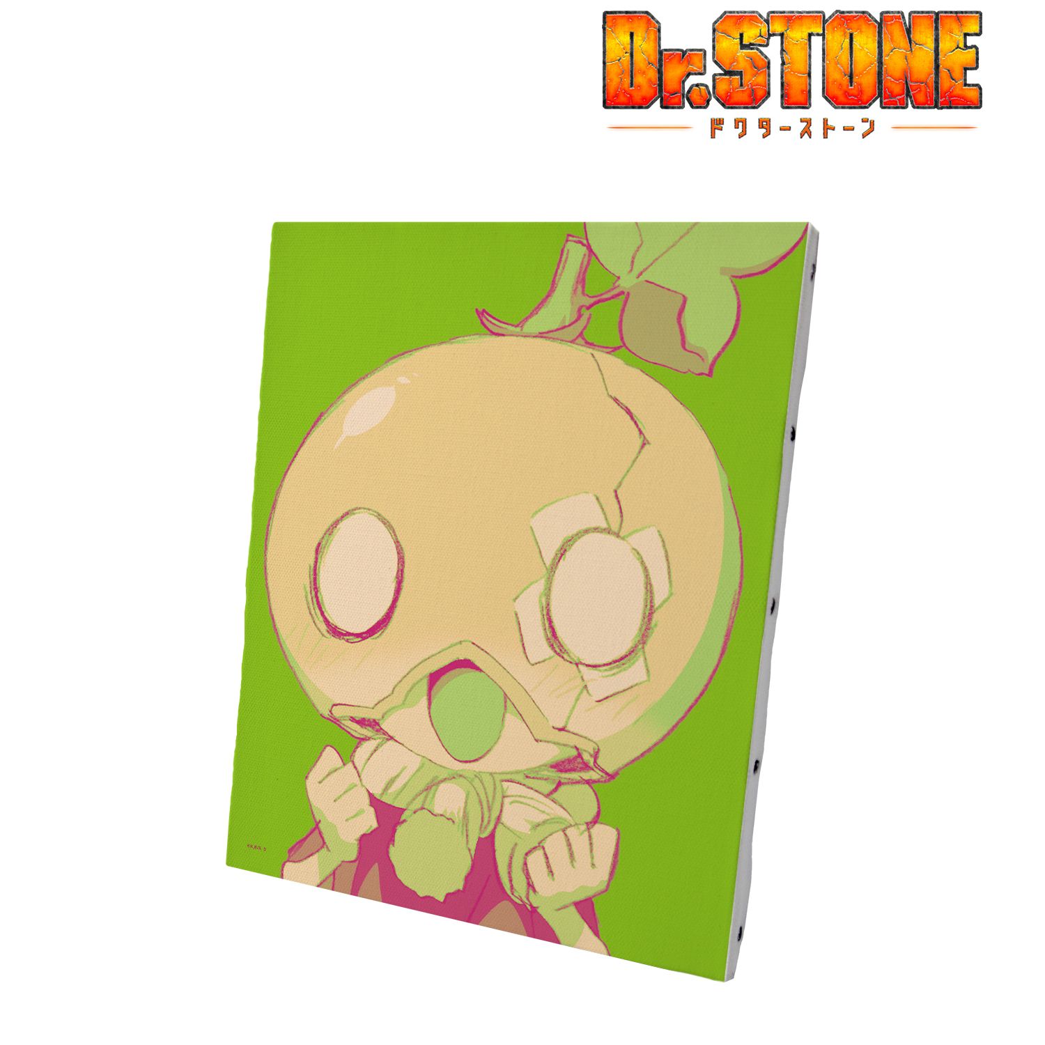 TVアニメ「Dr.STONE」 スイカ paleful キャンバスボード Image 2 | AniSmile