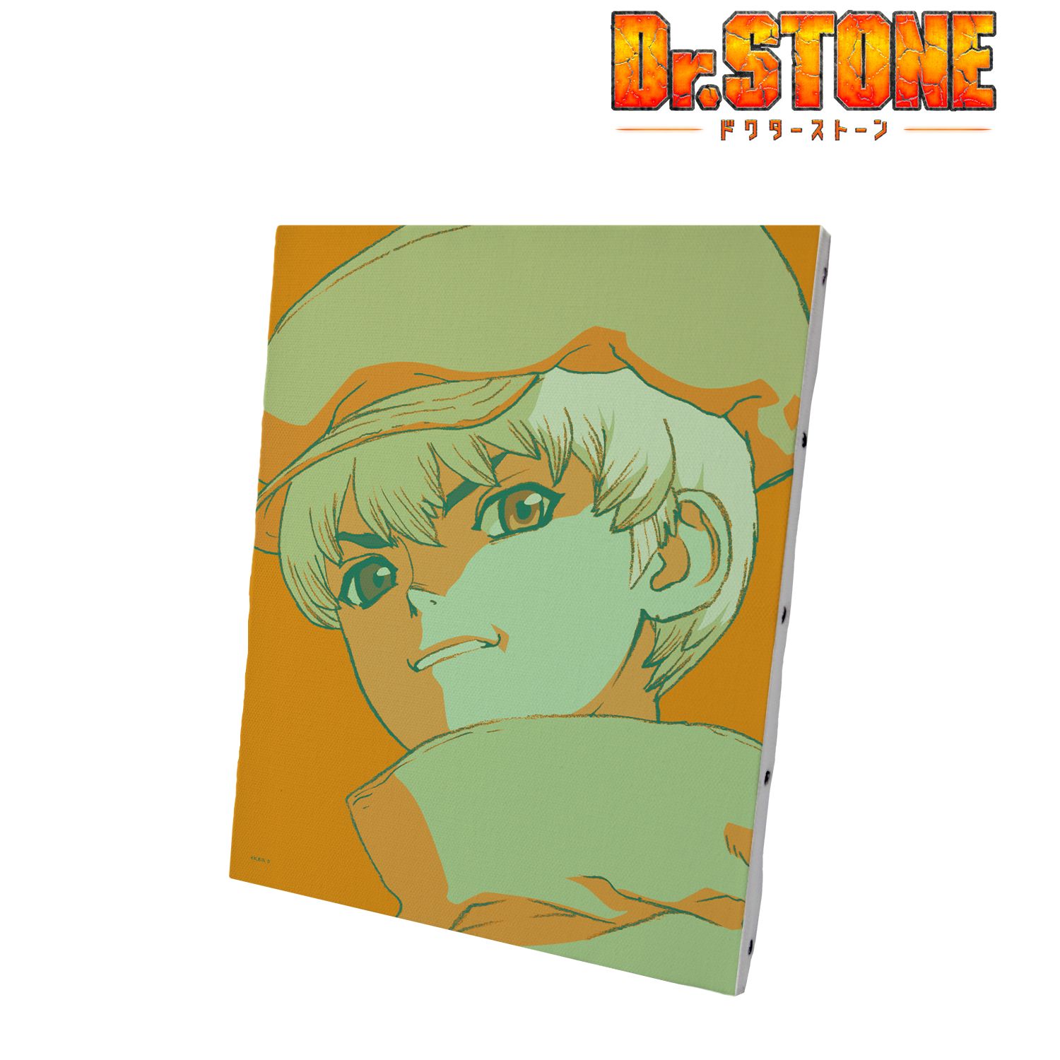TVアニメ「Dr.STONE」 西園寺羽京 paleful キャンバスボード 画像 3 | AniSmile