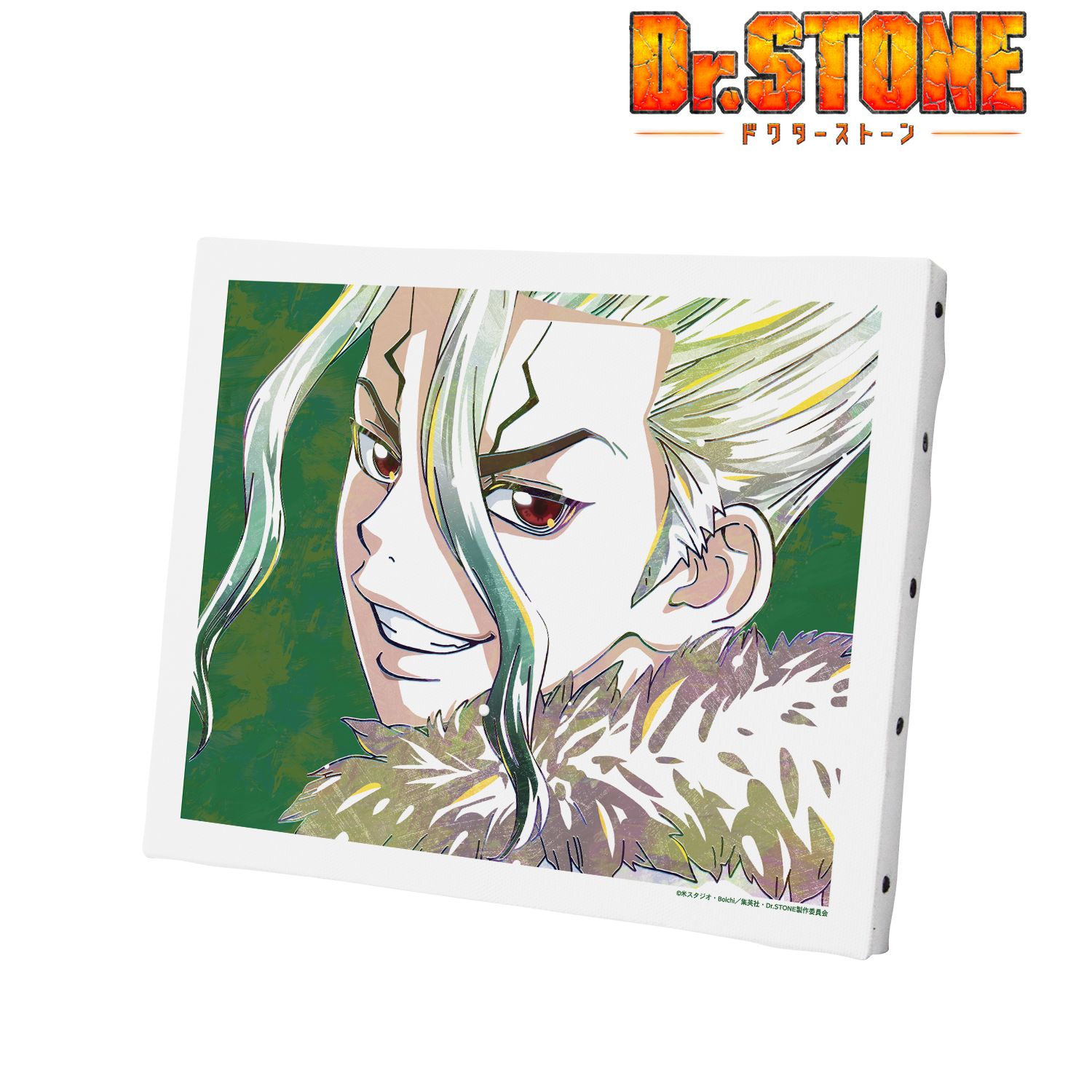 TVアニメ「Dr.STONE」 石神千空 Ani-Art 第2弾 キャンバスボード 图片 3 | AniSmile