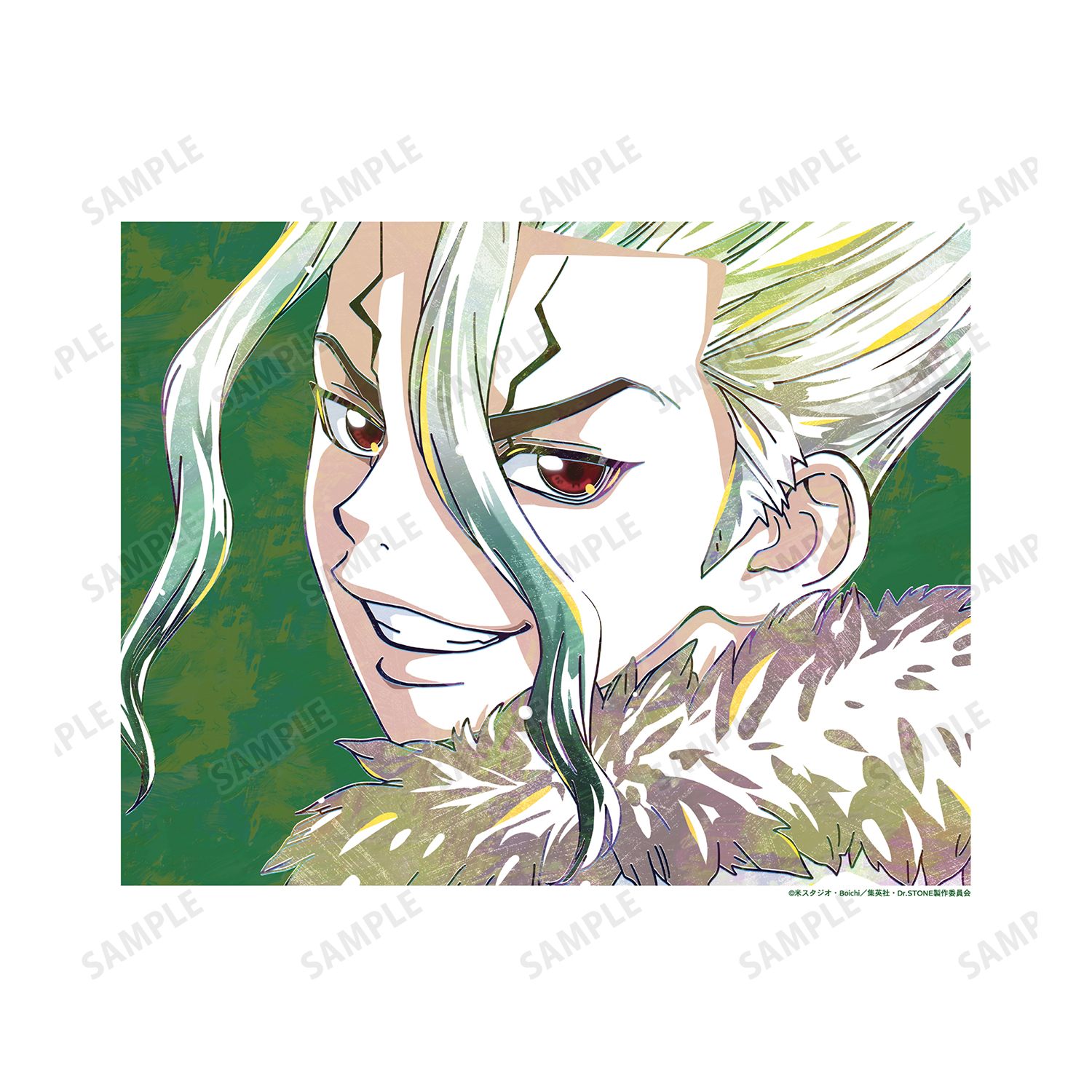 TVアニメ「Dr.STONE」 石神千空 Ani-Art 第2弾 キャンバスボード 图片 2 | AniSmile