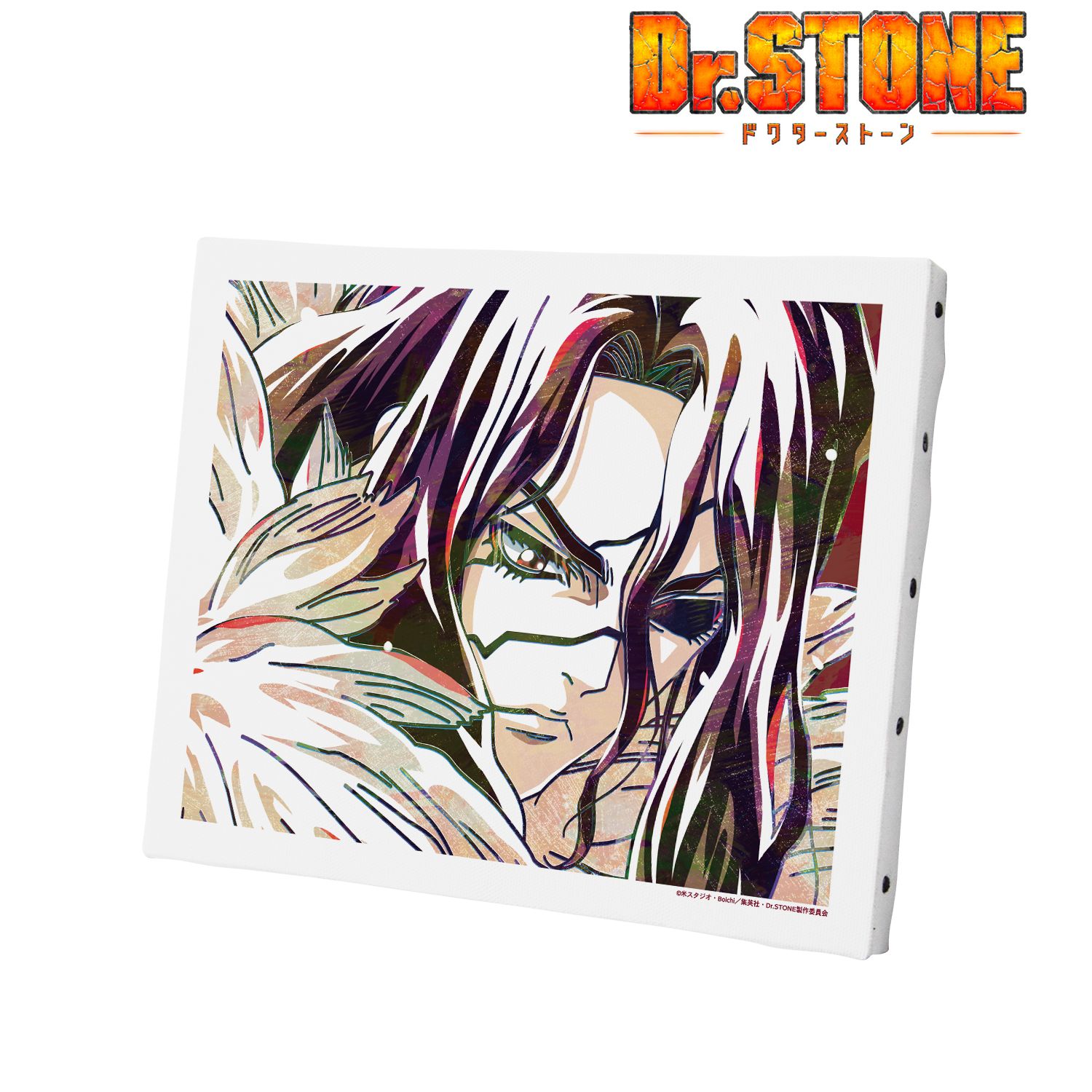 TVアニメ「Dr.STONE」 獅子王司 Ani-Art 第2弾 キャンバスボード 图片 2 | AniSmile