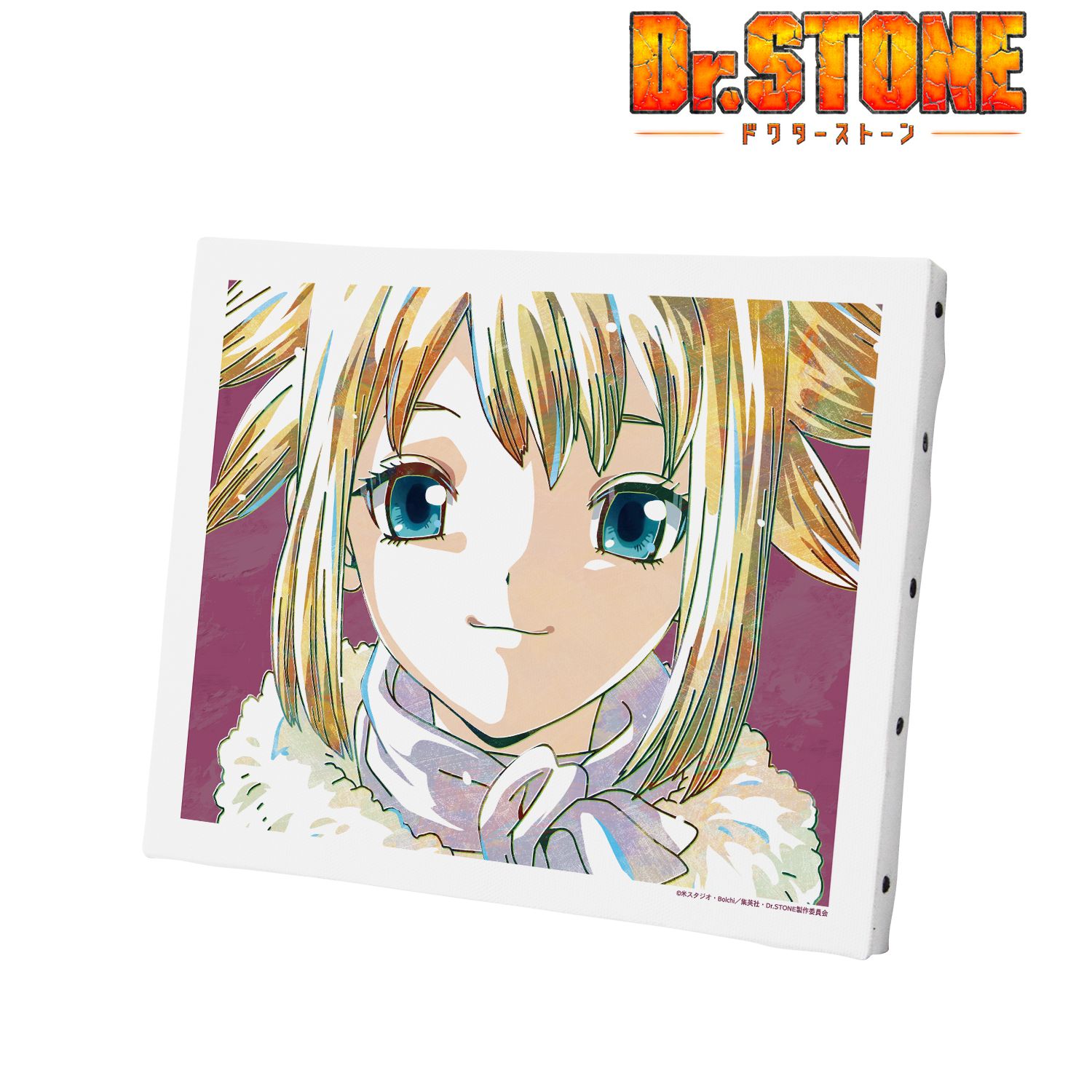 TVアニメ「Dr.STONE」 コハク Ani-Art 第2弾 キャンバスボード 图片 2 | AniSmile