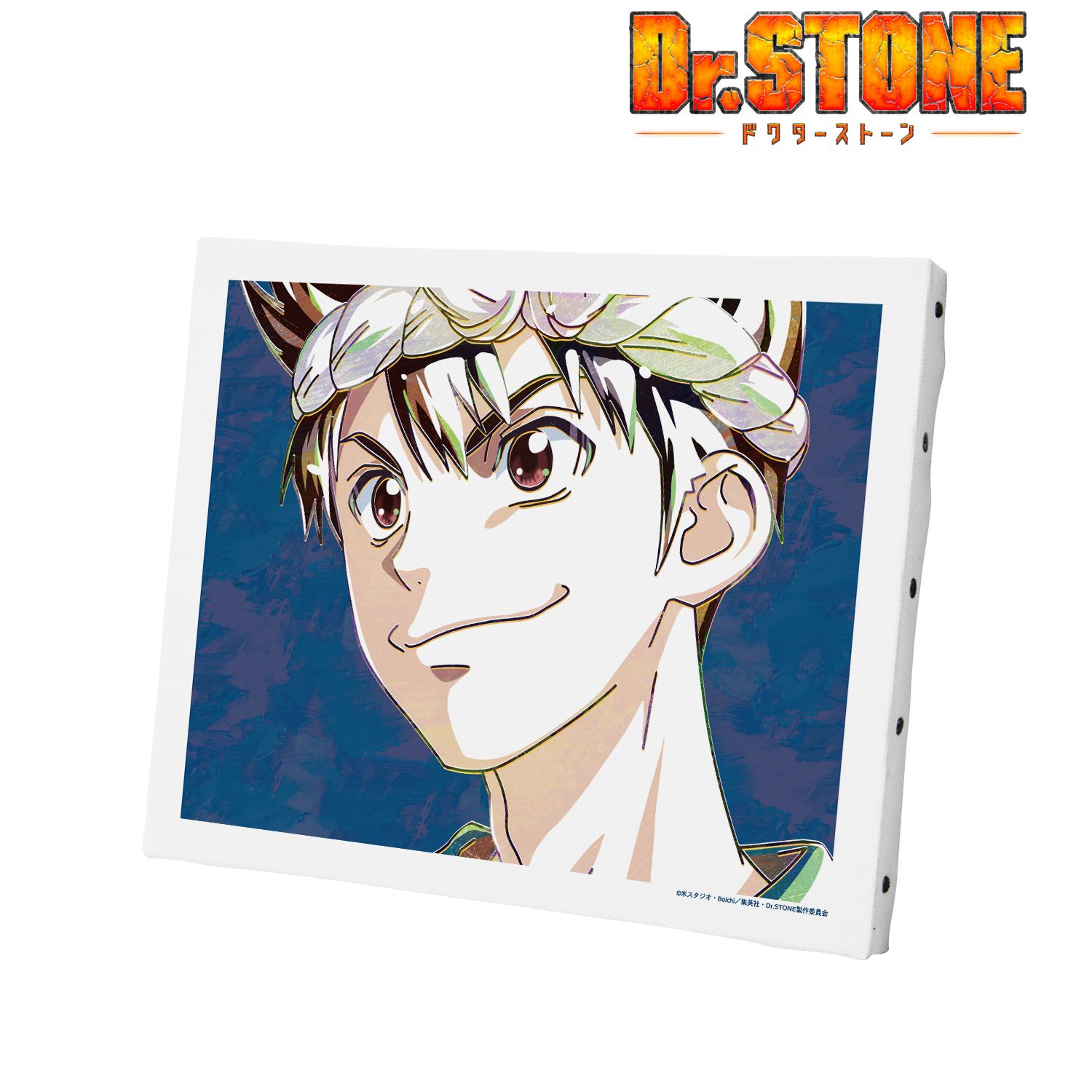 TVアニメ「Dr.STONE」 クロム Ani-Art 第2弾 キャンバスボード Image 2 | AniSmile