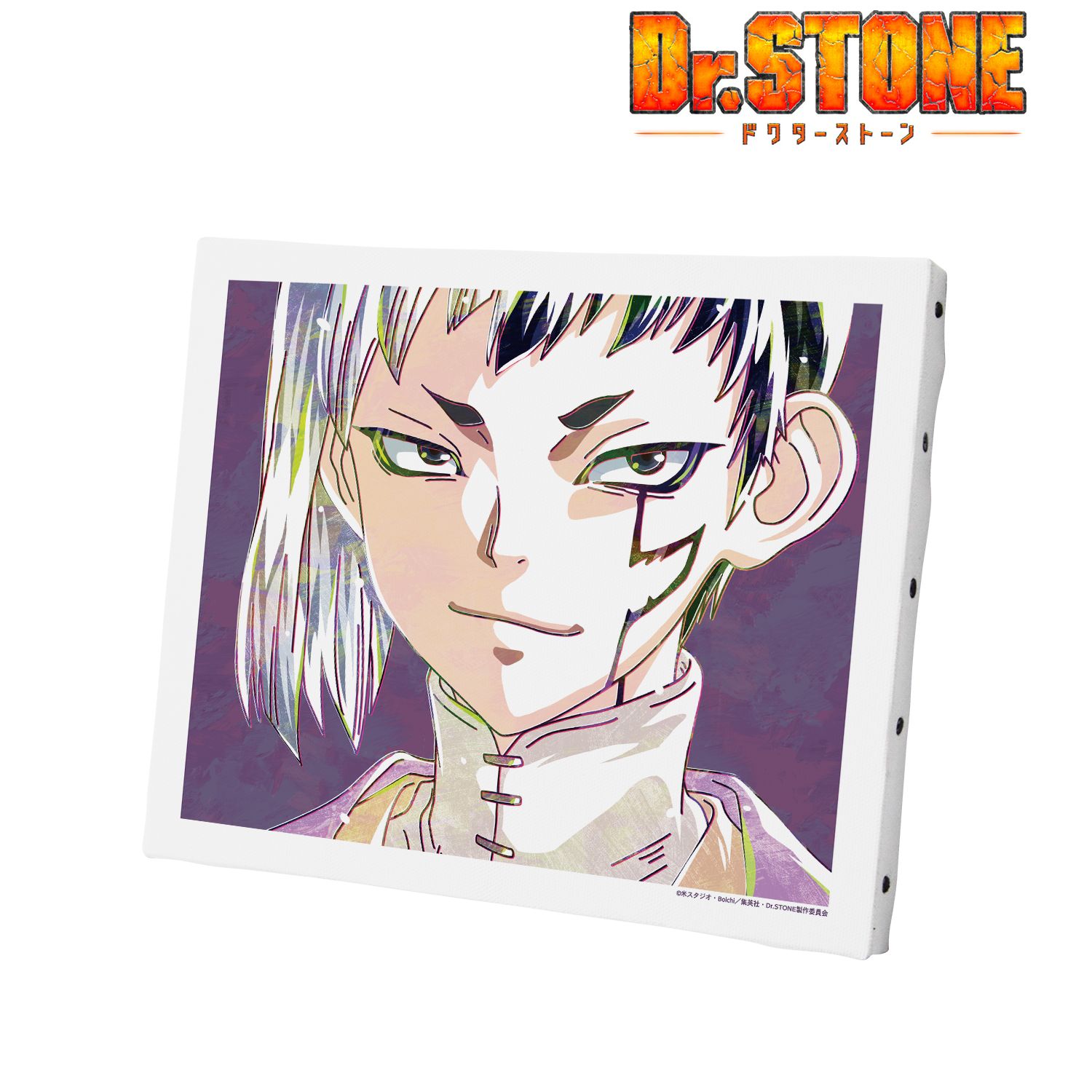 TVアニメ「Dr.STONE」 あさぎりゲン Ani-Art 第2弾 キャンバスボード Image 2 | AniSmile
