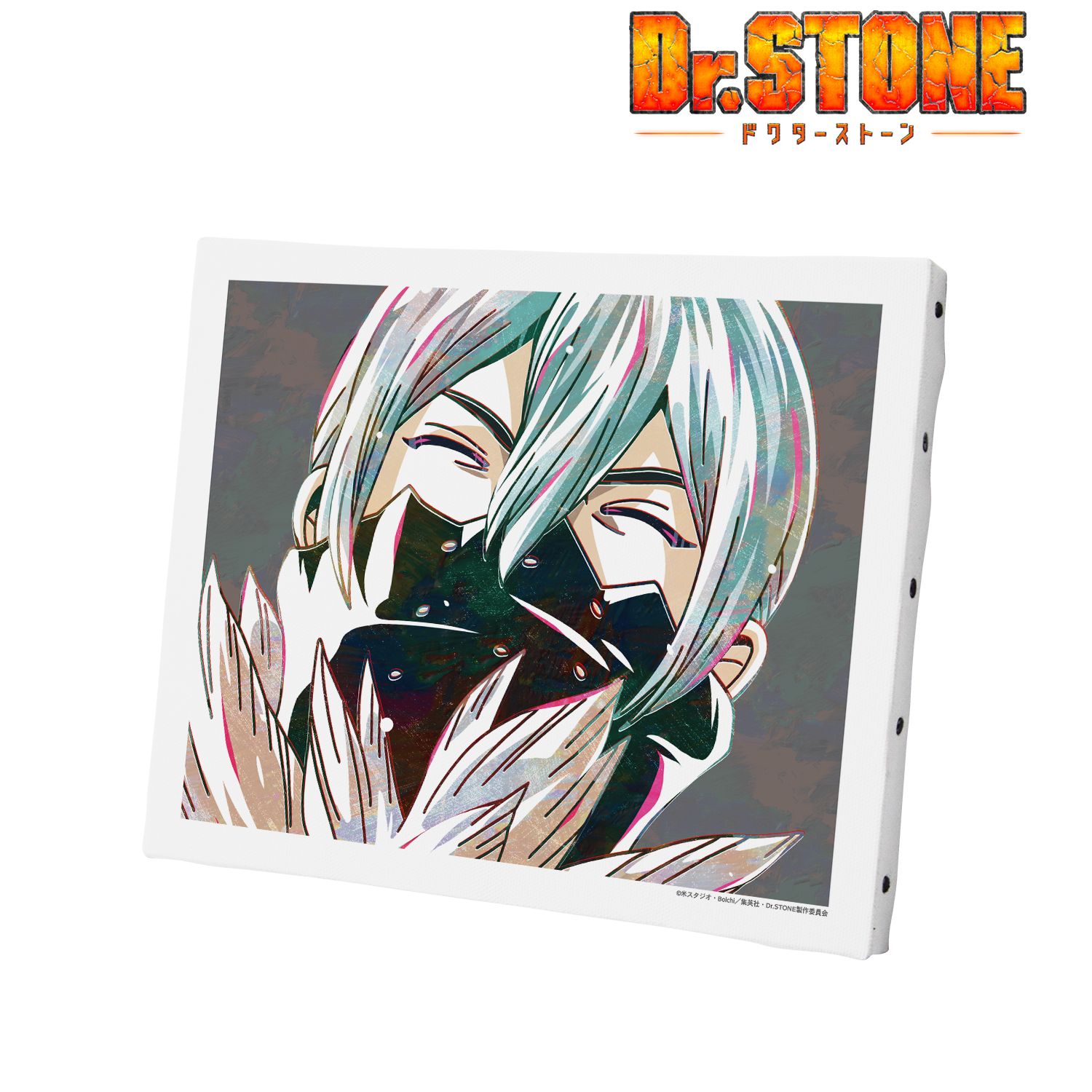 TVアニメ「Dr.STONE」 氷月 Ani-Art 第2弾 キャンバスボード Image 2 | AniSmile