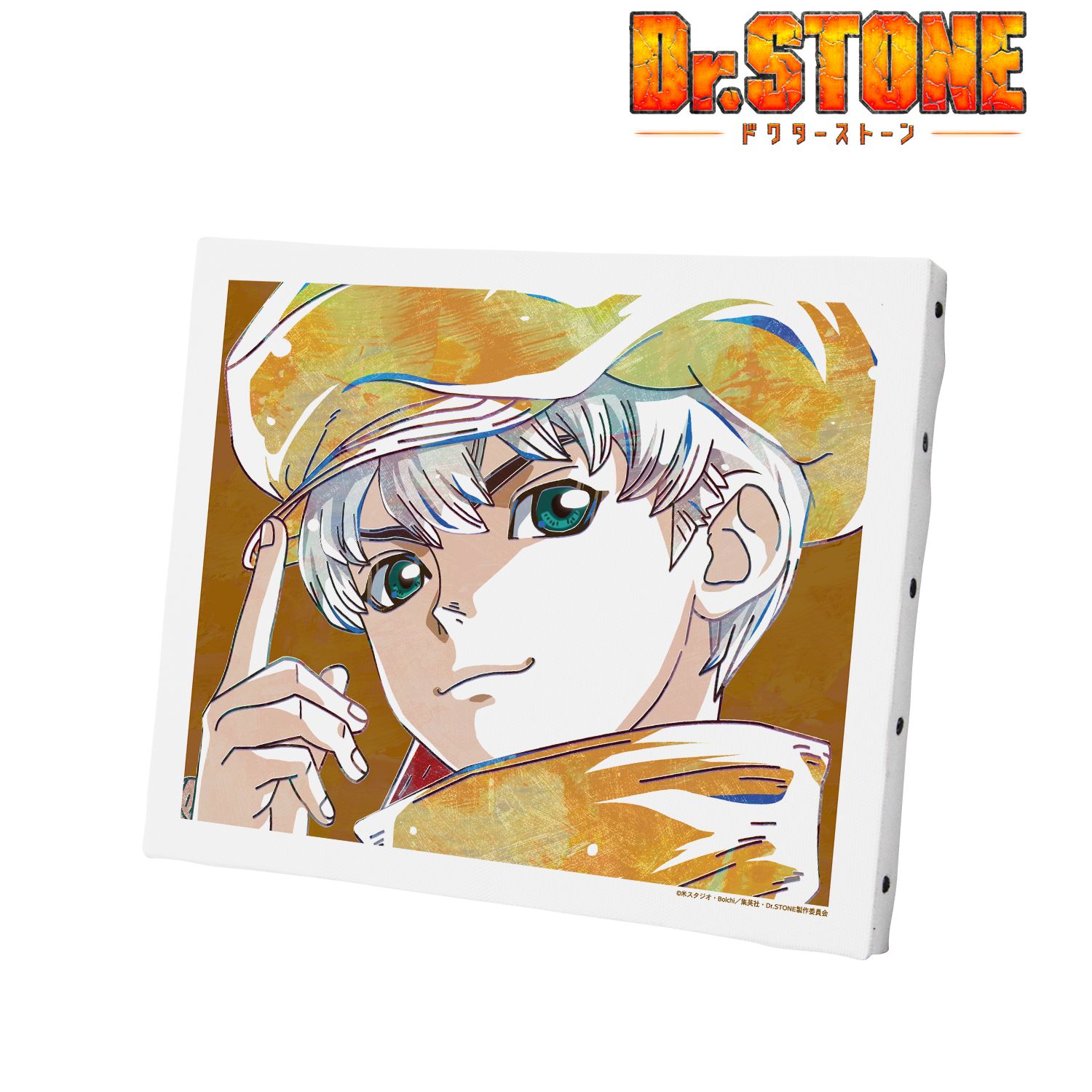 TVアニメ「Dr.STONE」 西園寺羽京 Ani-Art 第2弾 キャンバスボード 图片 2 | AniSmile