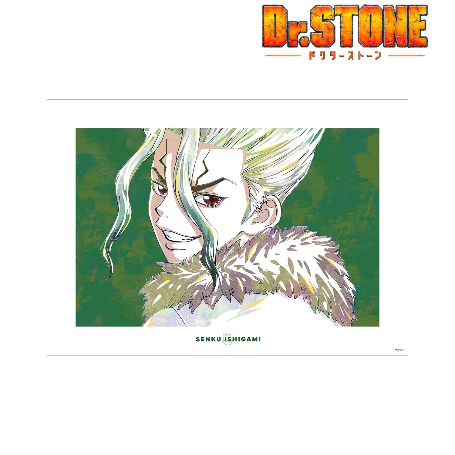 TVアニメ「Dr.STONE」 石神千空 Ani-Art 第2弾 A3マット加工ポスター Image 2 | AniSmile