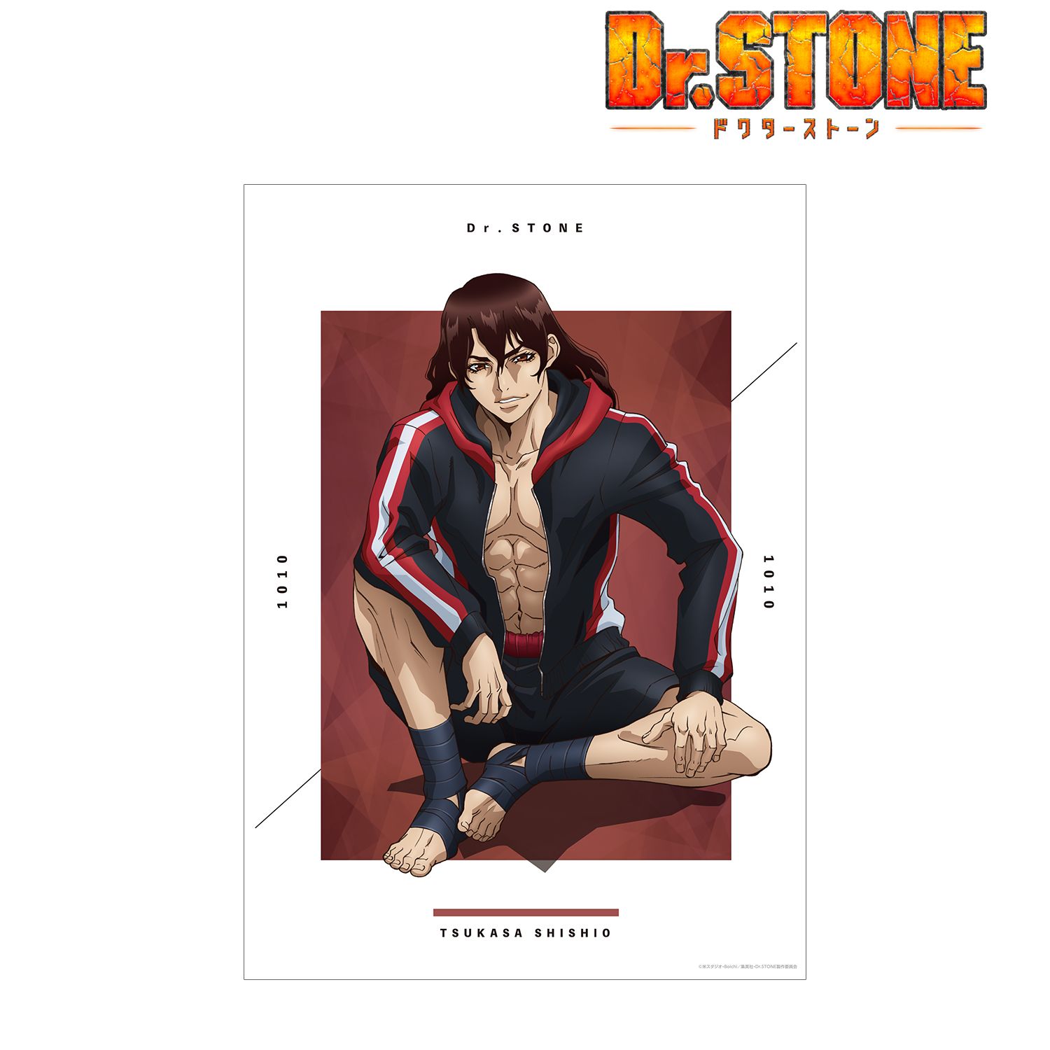 TVアニメ「Dr.STONE」 描き下ろしイラスト 獅子王司 石化前ver. A3マット加工ポスター Image 2 | AniSmile