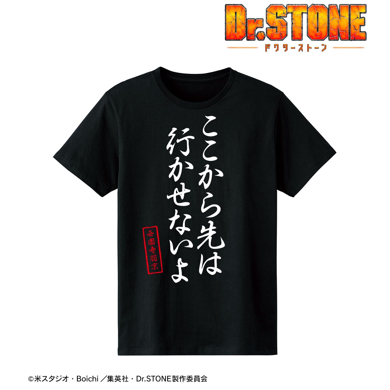 TVアニメ「Dr.STONE」 ここから先は行かせないよ Tシャツメンズ(サイズ/L) Image 2 | AniSmile