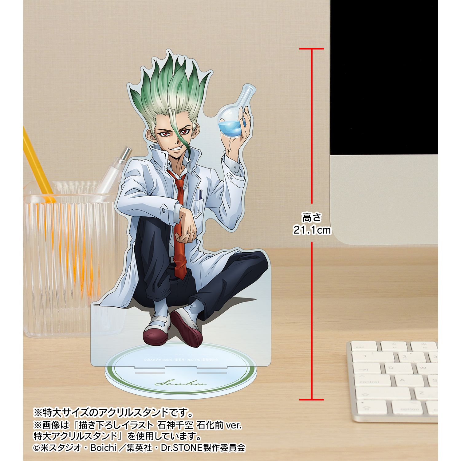 TVアニメ「Dr.STONE」 描き下ろしイラスト 獅子王司 石化前ver. 特大アクリルスタンド Image 5 | AniSmile